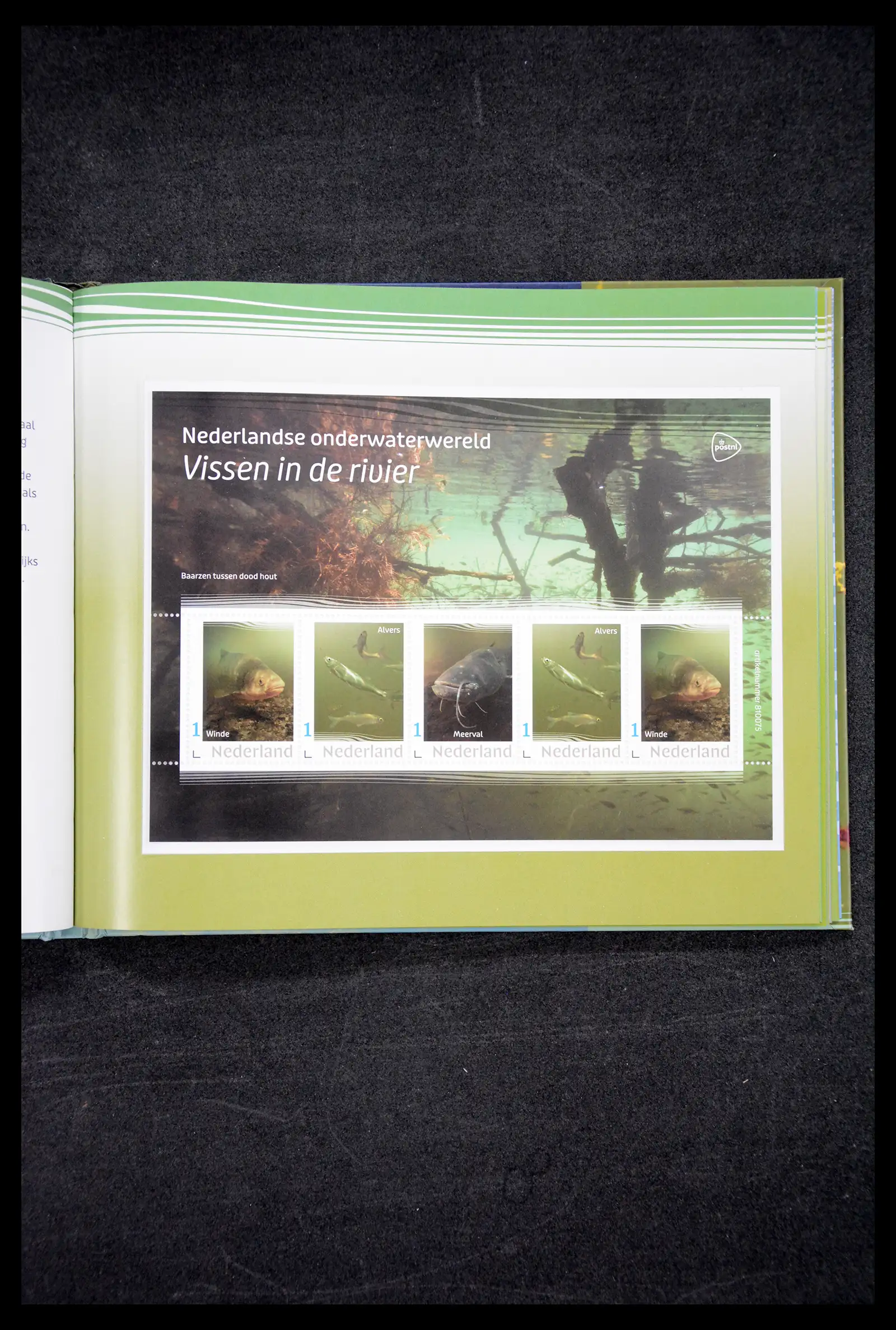 41516 0031 - Postzegelverzameling 41516 Nederland persoonlijke zegels t/m 2025!!