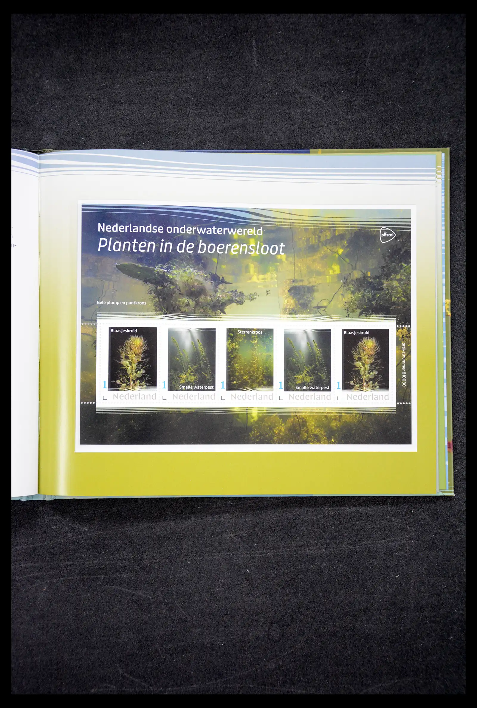 41516 0036 - Postzegelverzameling 41516 Nederland persoonlijke zegels t/m 2025!!