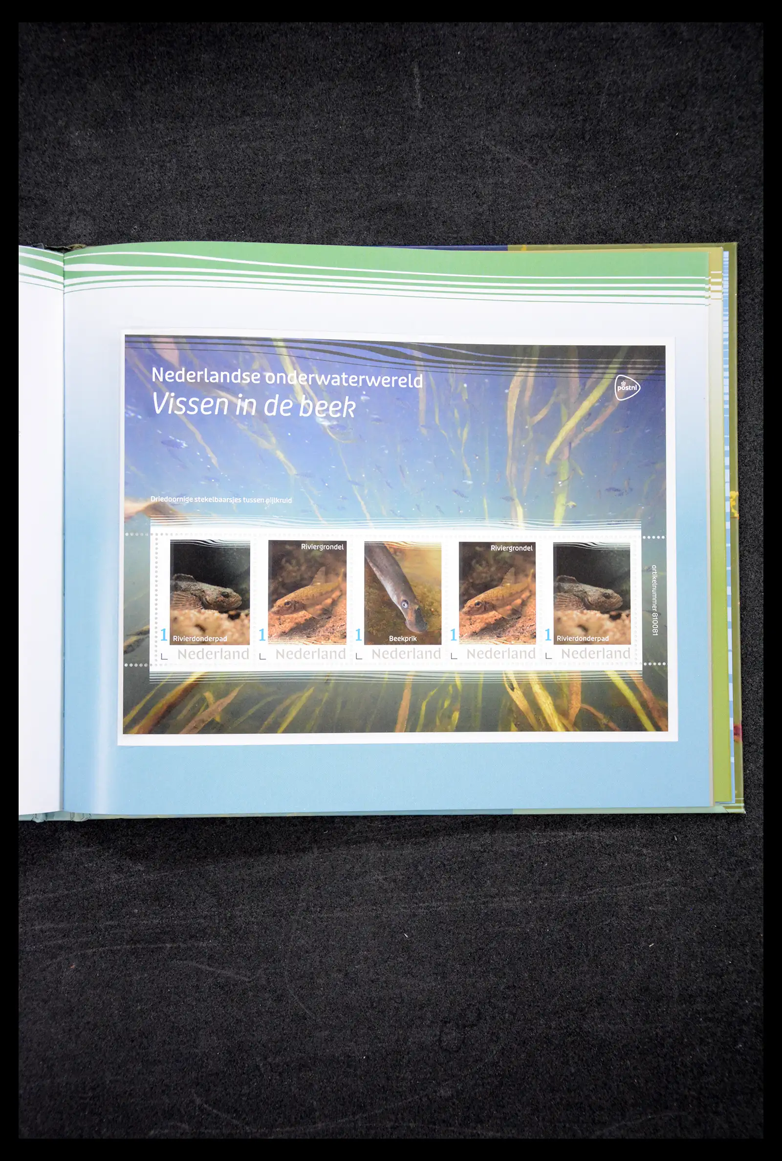 41516 0037 - Postzegelverzameling 41516 Nederland persoonlijke zegels t/m 2025!!