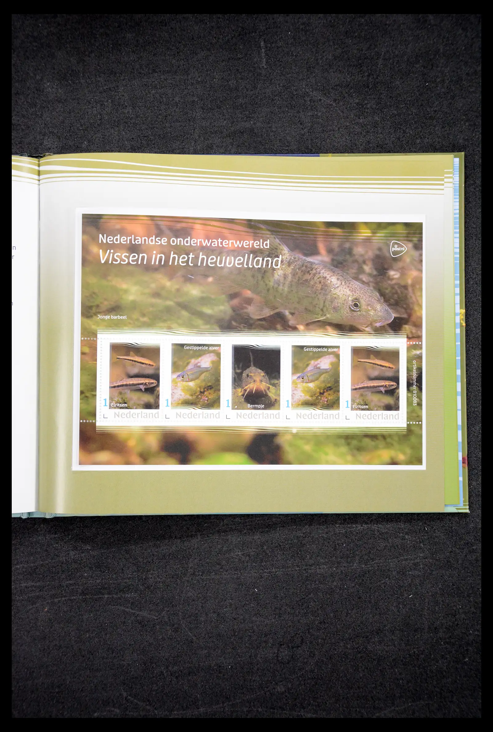 41516 0039 - Postzegelverzameling 41516 Nederland persoonlijke zegels t/m 2025!!