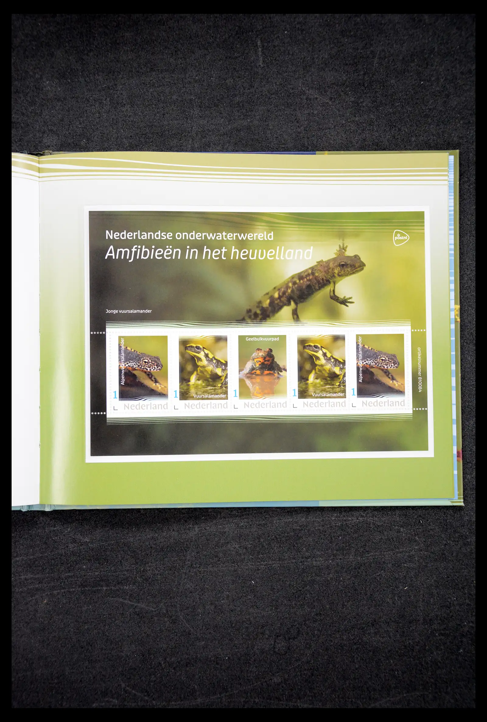 41516 0040 - Postzegelverzameling 41516 Nederland persoonlijke zegels t/m 2025!!