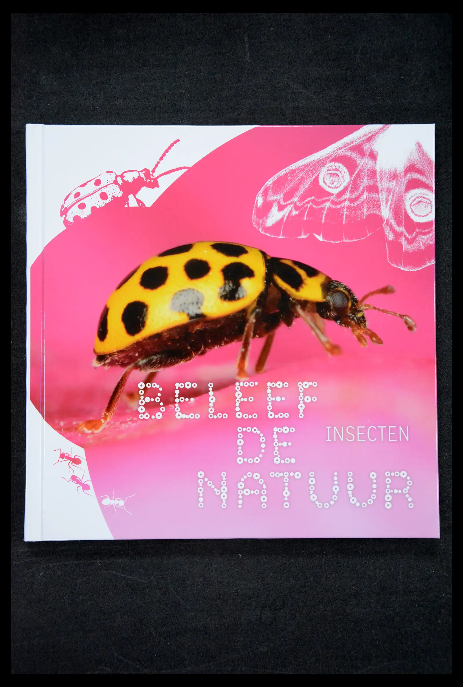 41516 0049 - Postzegelverzameling 41516 Nederland persoonlijke zegels t/m 2025!!