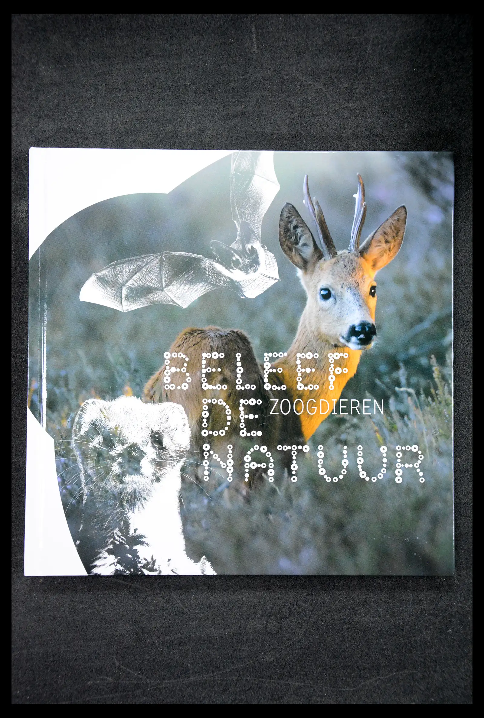 41516 0052 - Postzegelverzameling 41516 Nederland persoonlijke zegels t/m 2025!!