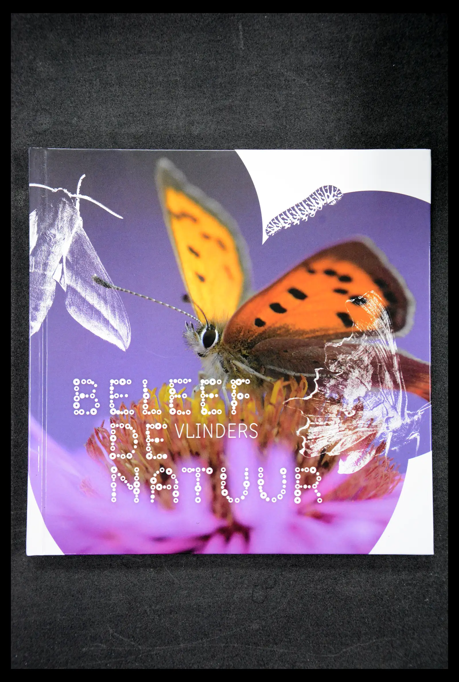 41516 0055 - Postzegelverzameling 41516 Nederland persoonlijke zegels t/m 2025!!