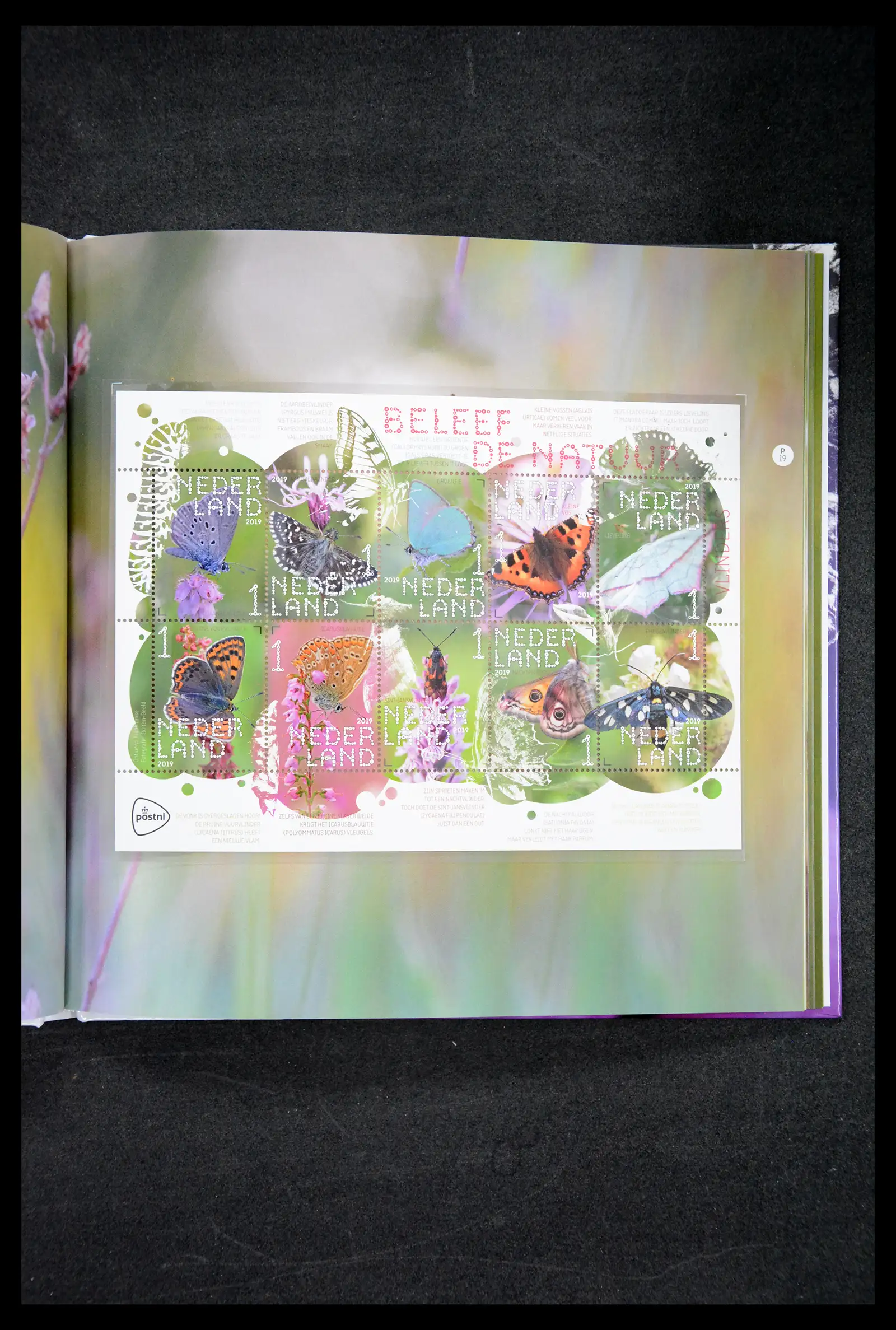 41516 0056 - Postzegelverzameling 41516 Nederland persoonlijke zegels t/m 2025!!