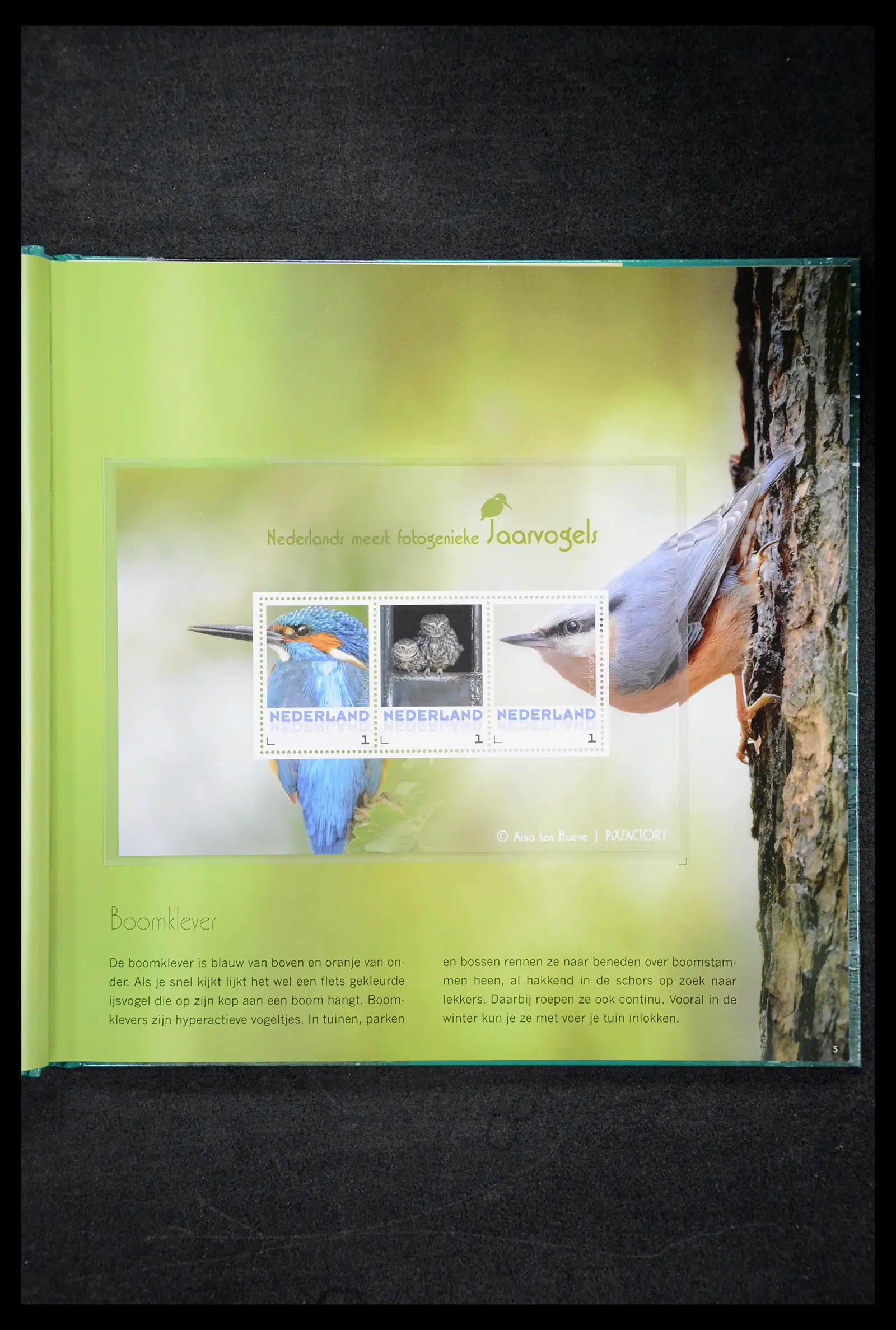 41516 0064 - Postzegelverzameling 41516 Nederland persoonlijke zegels t/m 2025!!