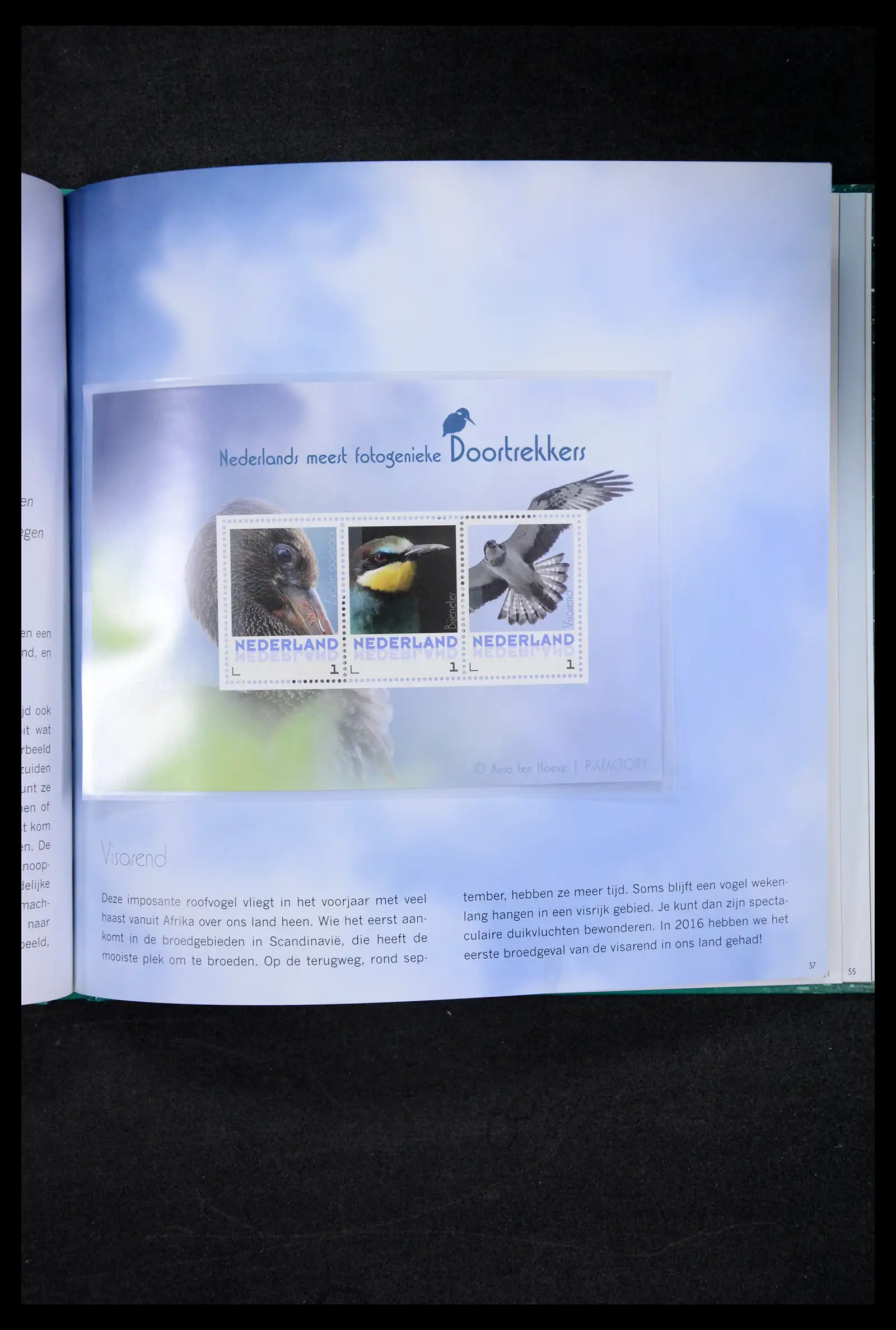 41516 0066 - Postzegelverzameling 41516 Nederland persoonlijke zegels t/m 2025!!