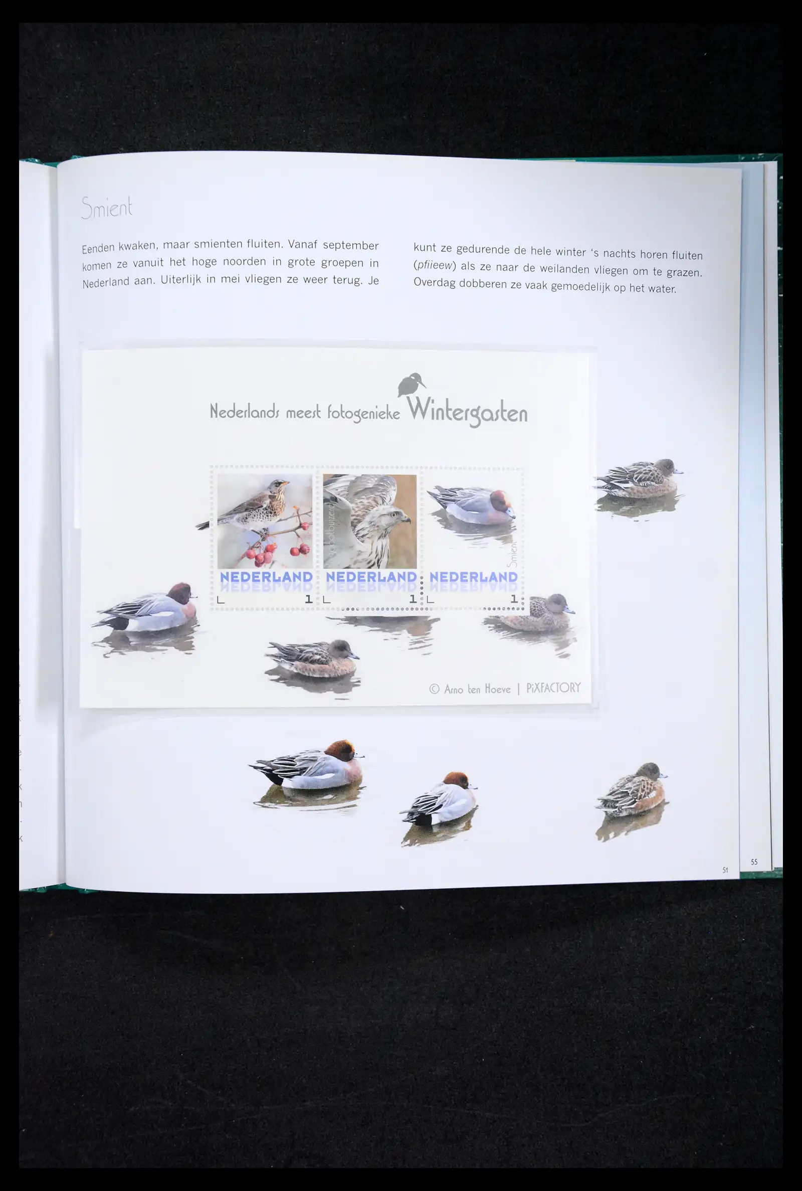 41516 0067 - Postzegelverzameling 41516 Nederland persoonlijke zegels t/m 2025!!