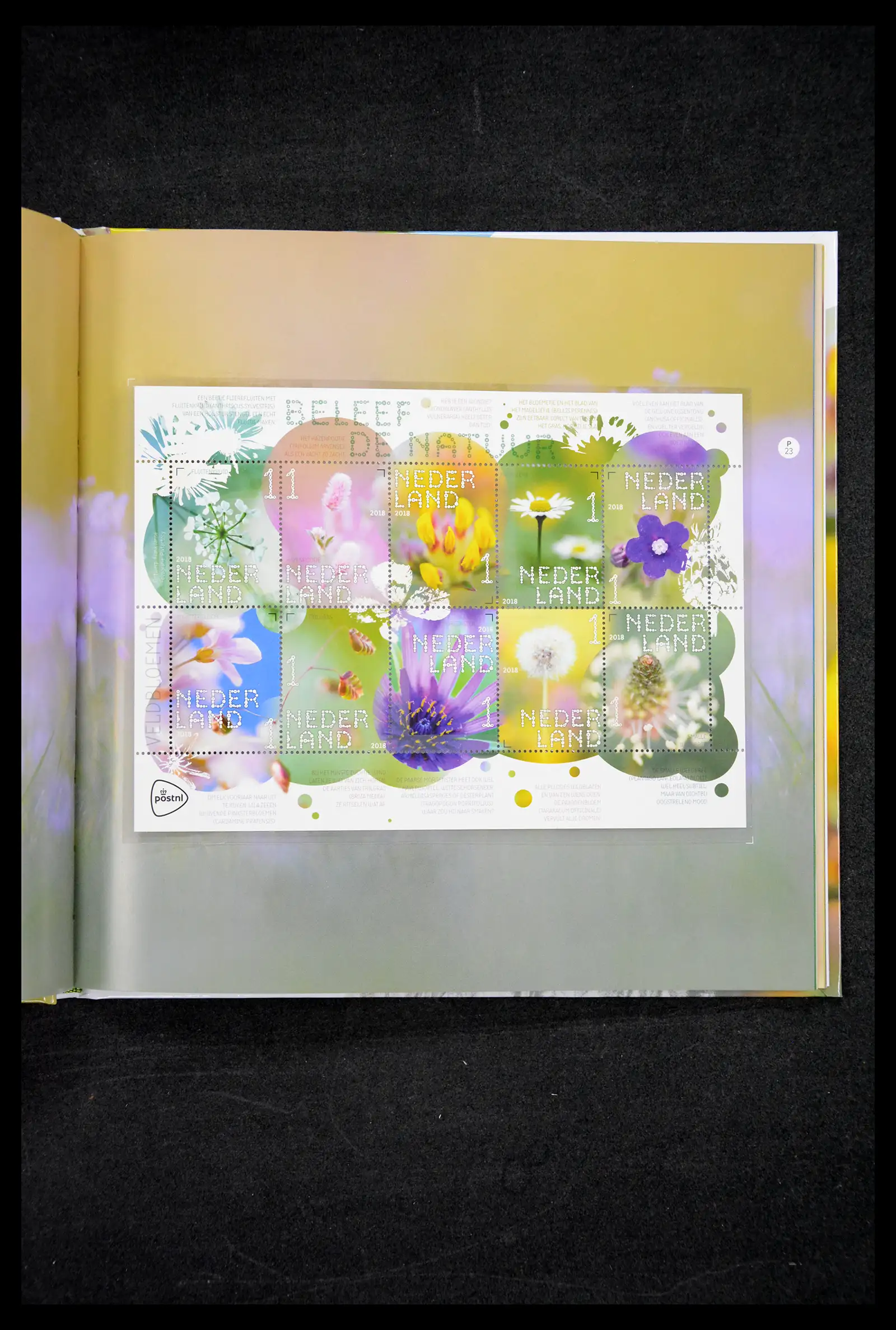 41521 0002 - Stamp collection 41521 Netherlands personalised stamps till 2025!!