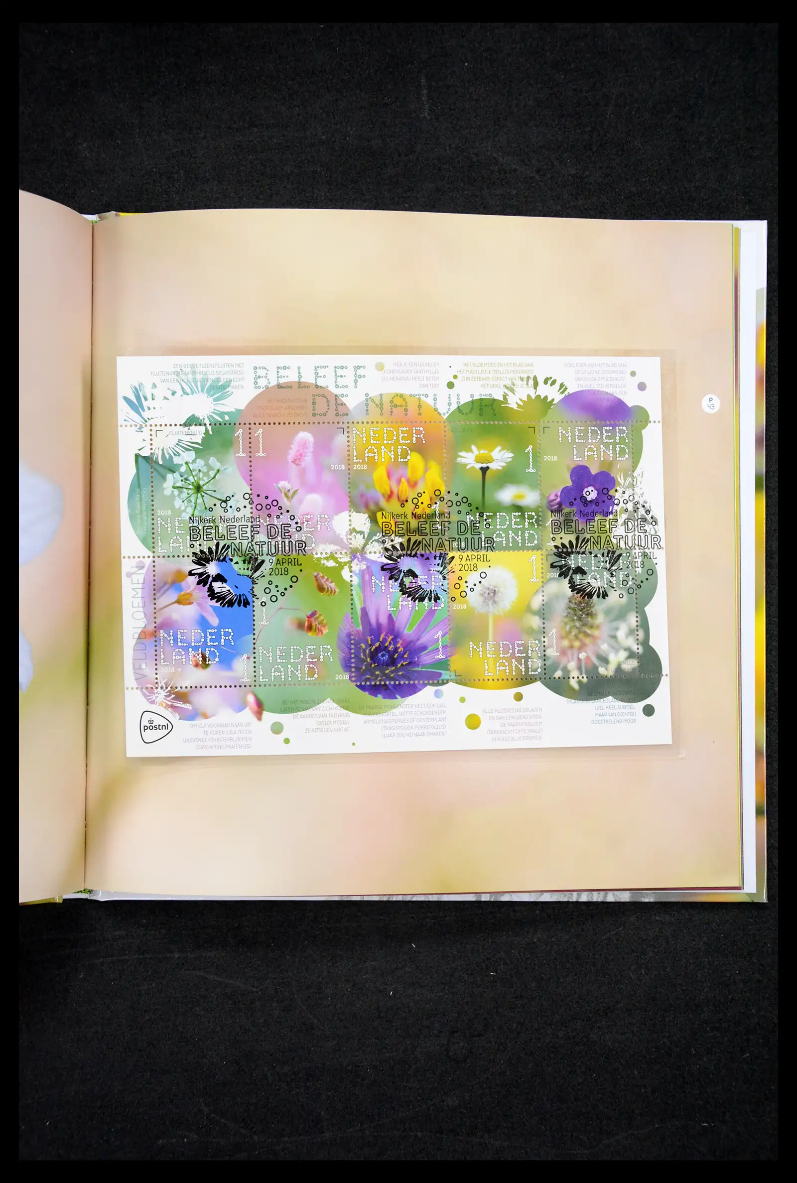 41521 0003 - Stamp collection 41521 Netherlands personalised stamps till 2025!!