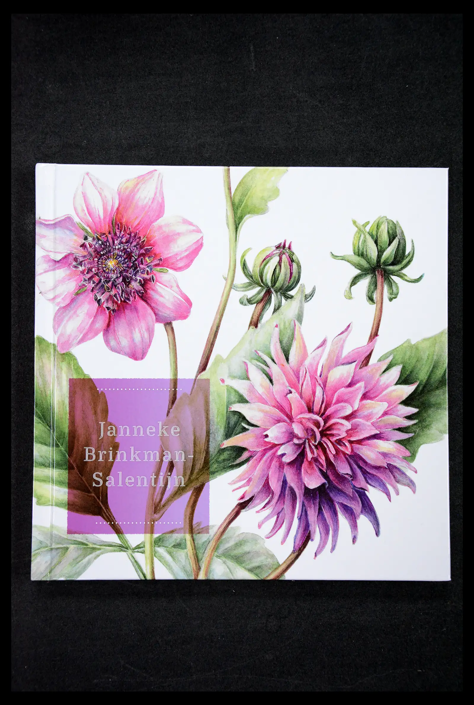 41521 0004 - Stamp collection 41521 Netherlands personalised stamps till 2025!!