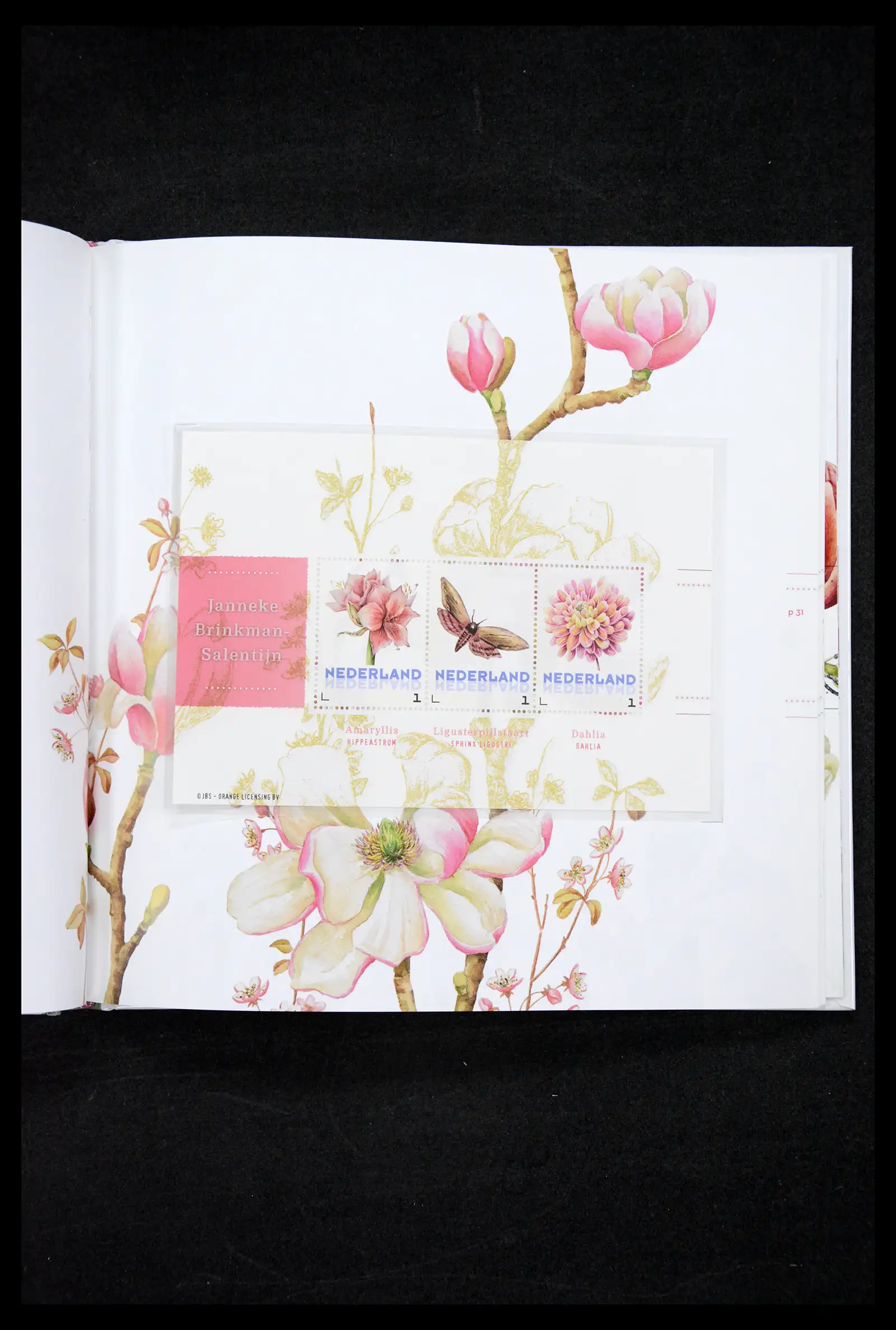 41521 0006 - Stamp collection 41521 Netherlands personalised stamps till 2025!!