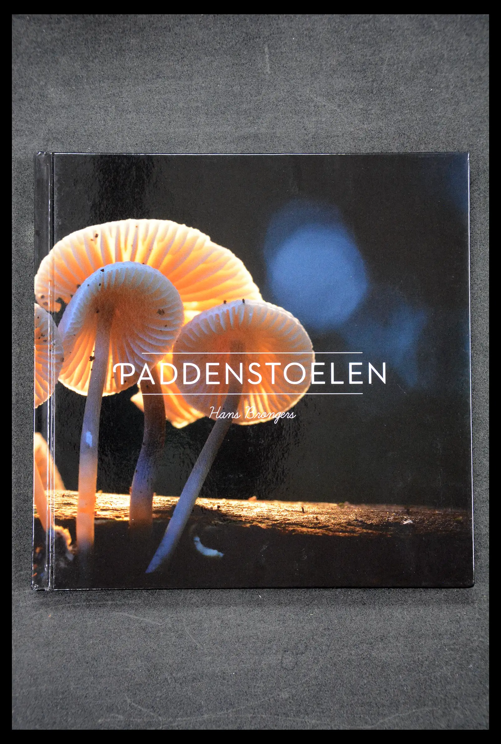 41521 0014 - Stamp collection 41521 Netherlands personalised stamps till 2025!!