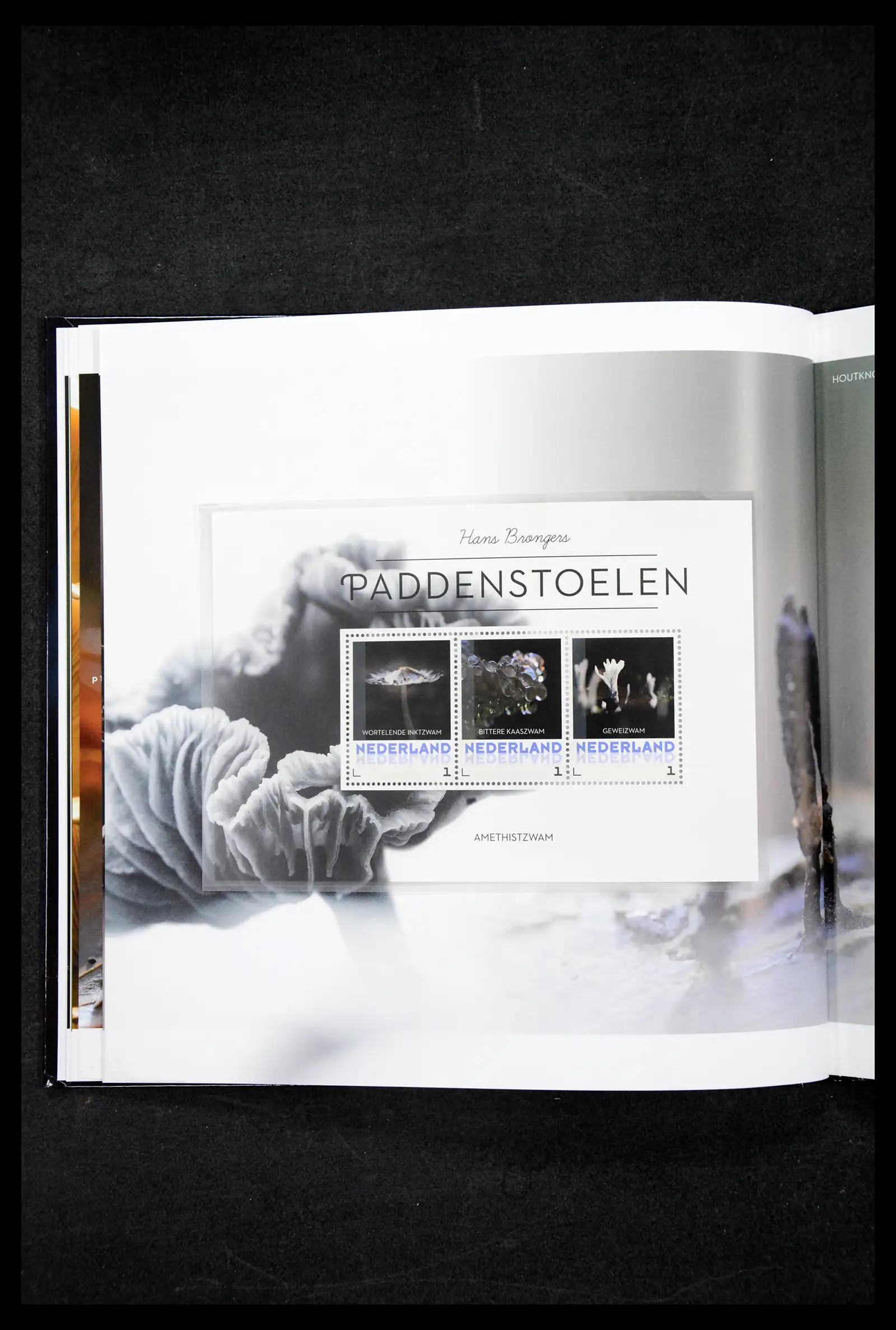 41521 0015 - Stamp collection 41521 Netherlands personalised stamps till 2025!!