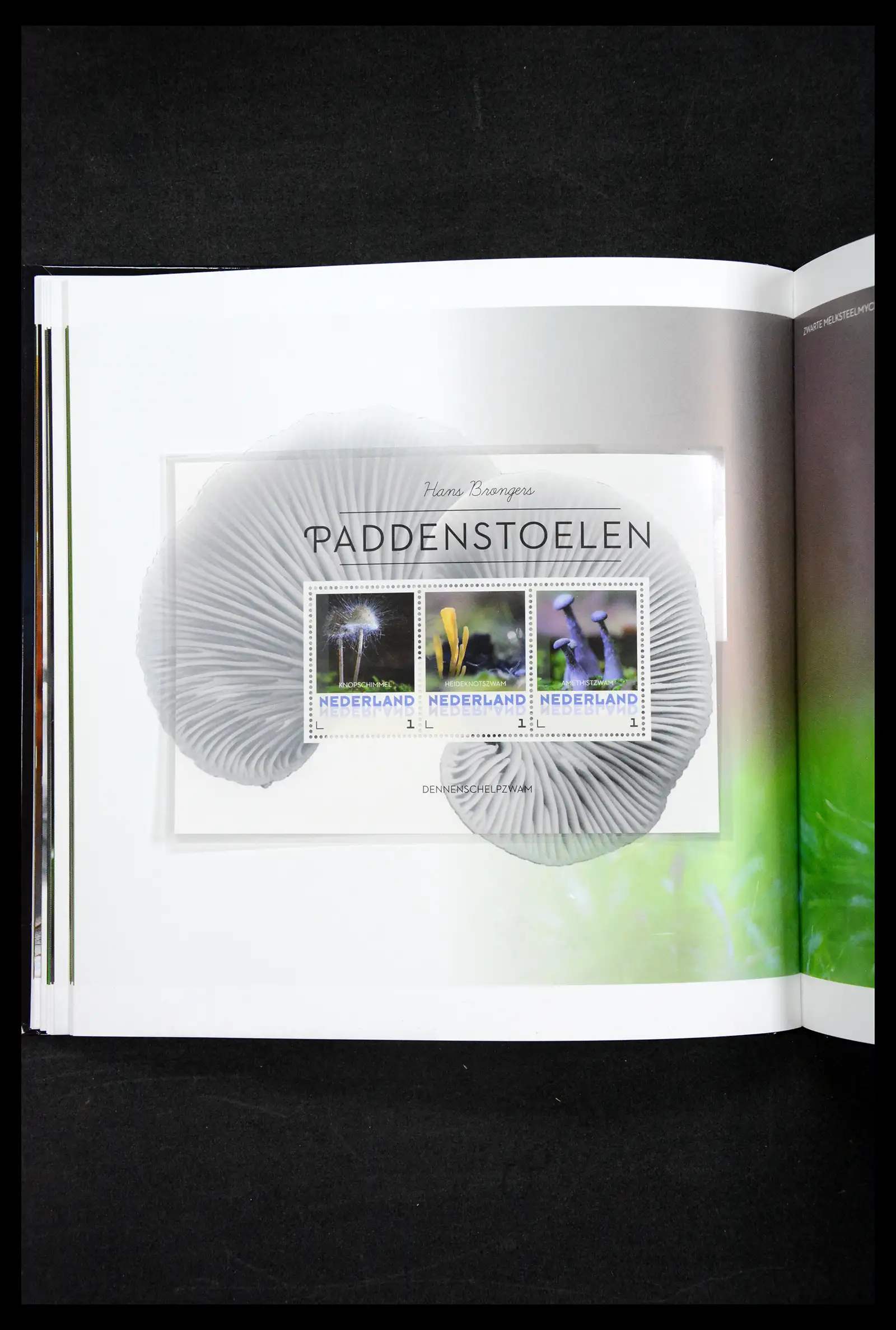 41521 0017 - Stamp collection 41521 Netherlands personalised stamps till 2025!!