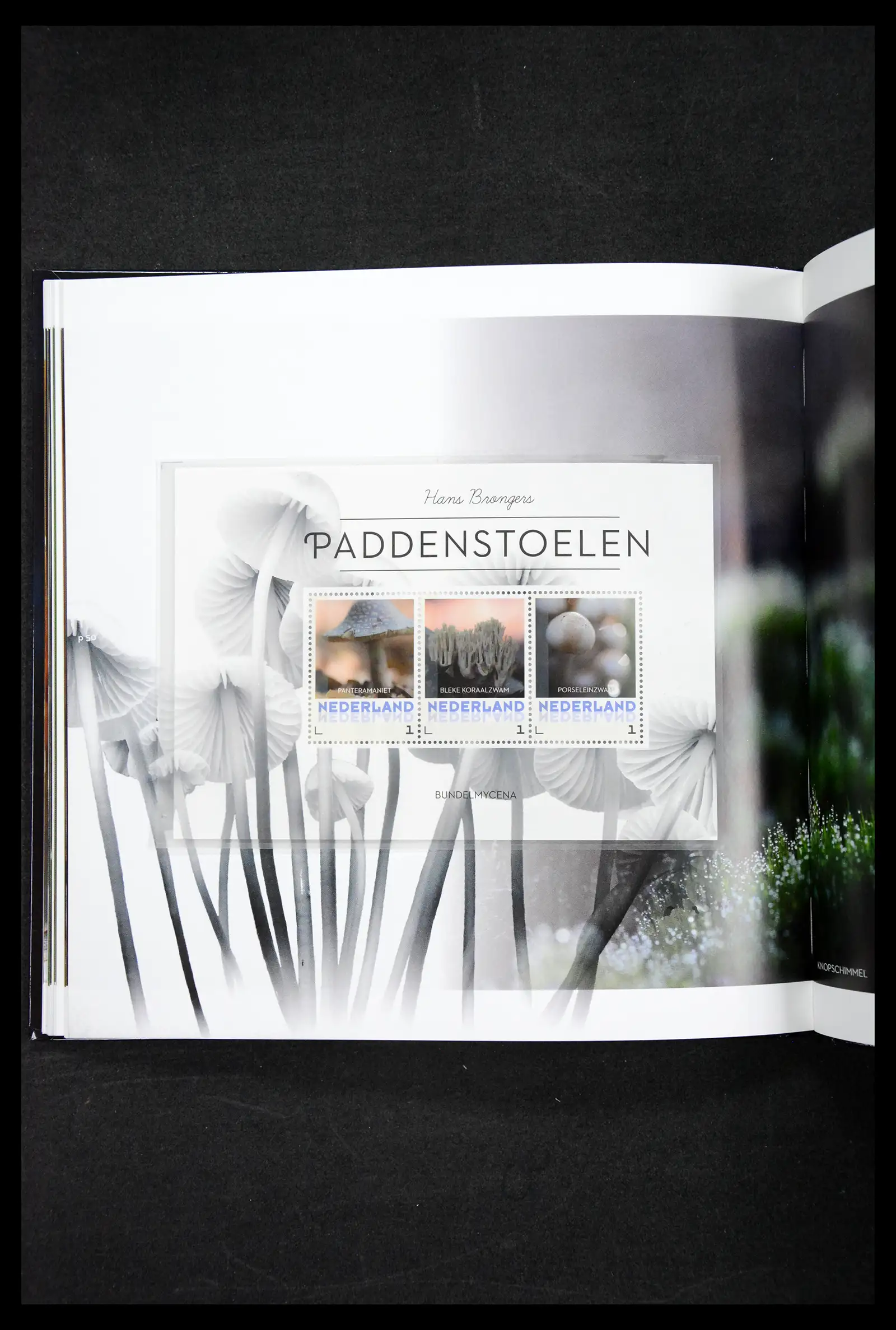 41521 0018 - Stamp collection 41521 Netherlands personalised stamps till 2025!!