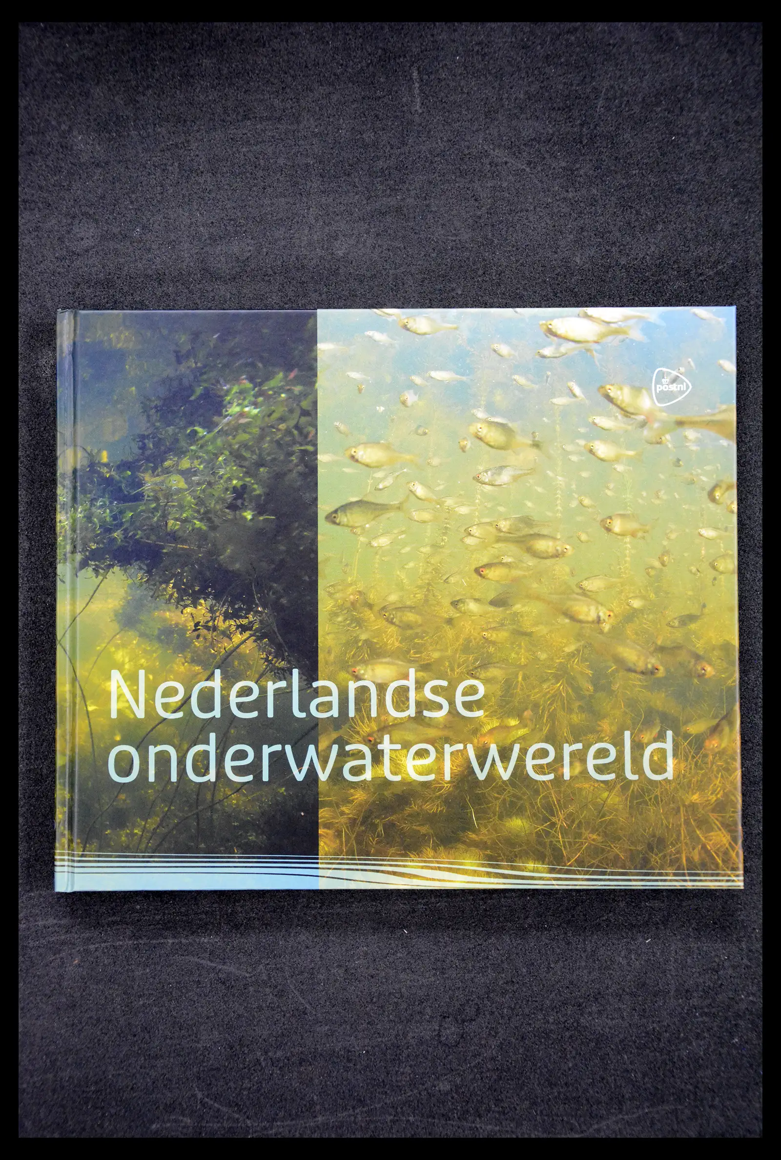 41521 0019 - Stamp collection 41521 Netherlands personalised stamps till 2025!!