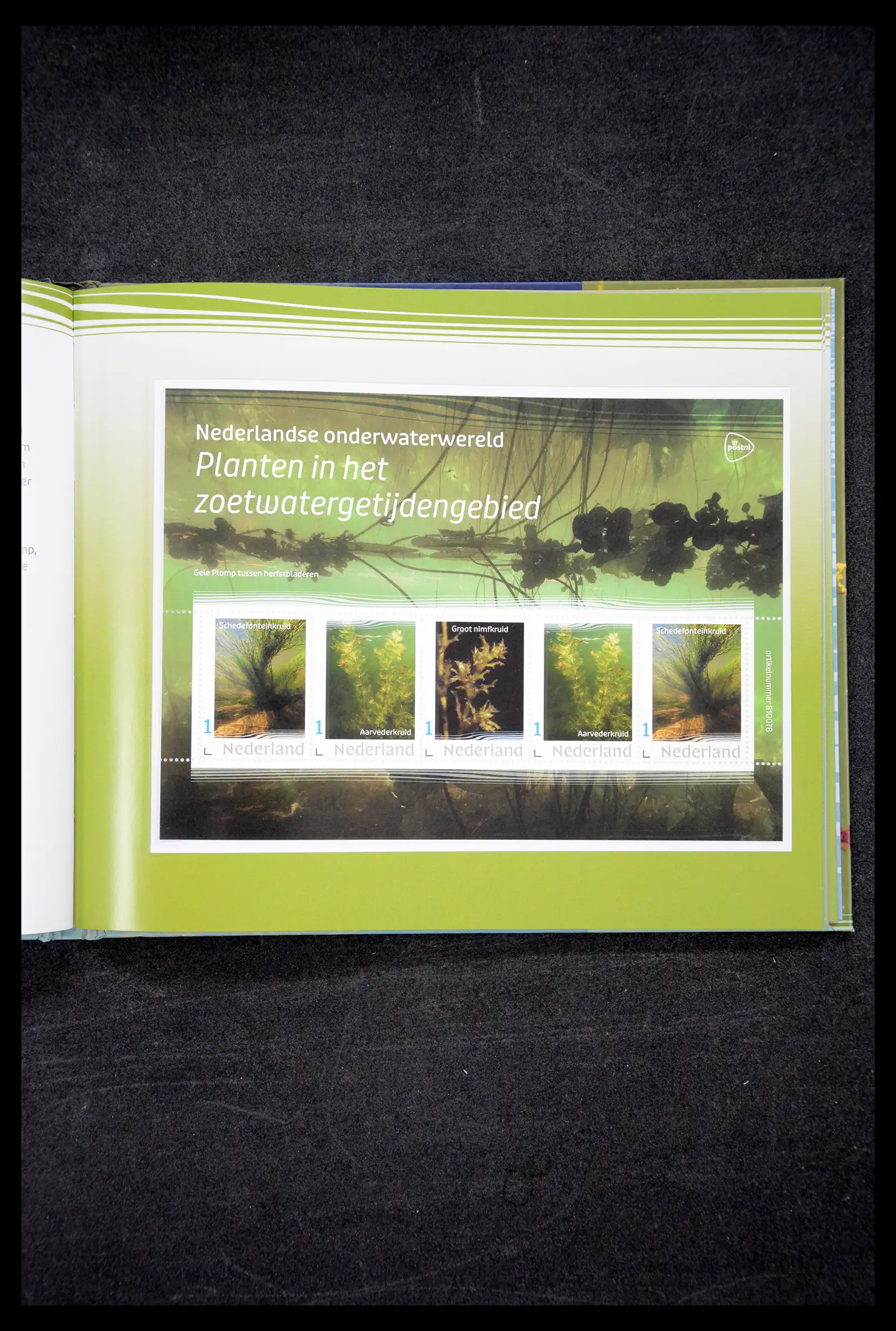 41521 0034 - Postzegelverzameling 41521 Nederland persoonlijke zegels t/m 2025!!