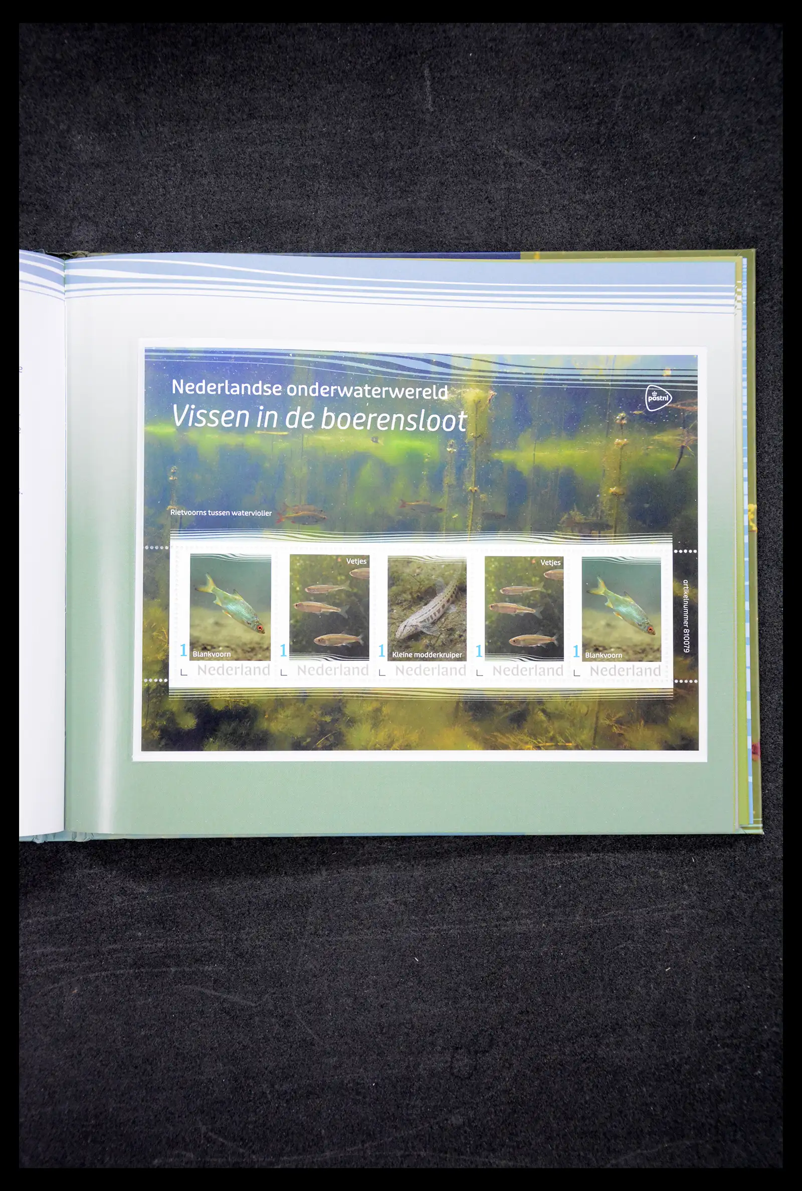 41521 0035 - Postzegelverzameling 41521 Nederland persoonlijke zegels t/m 2025!!