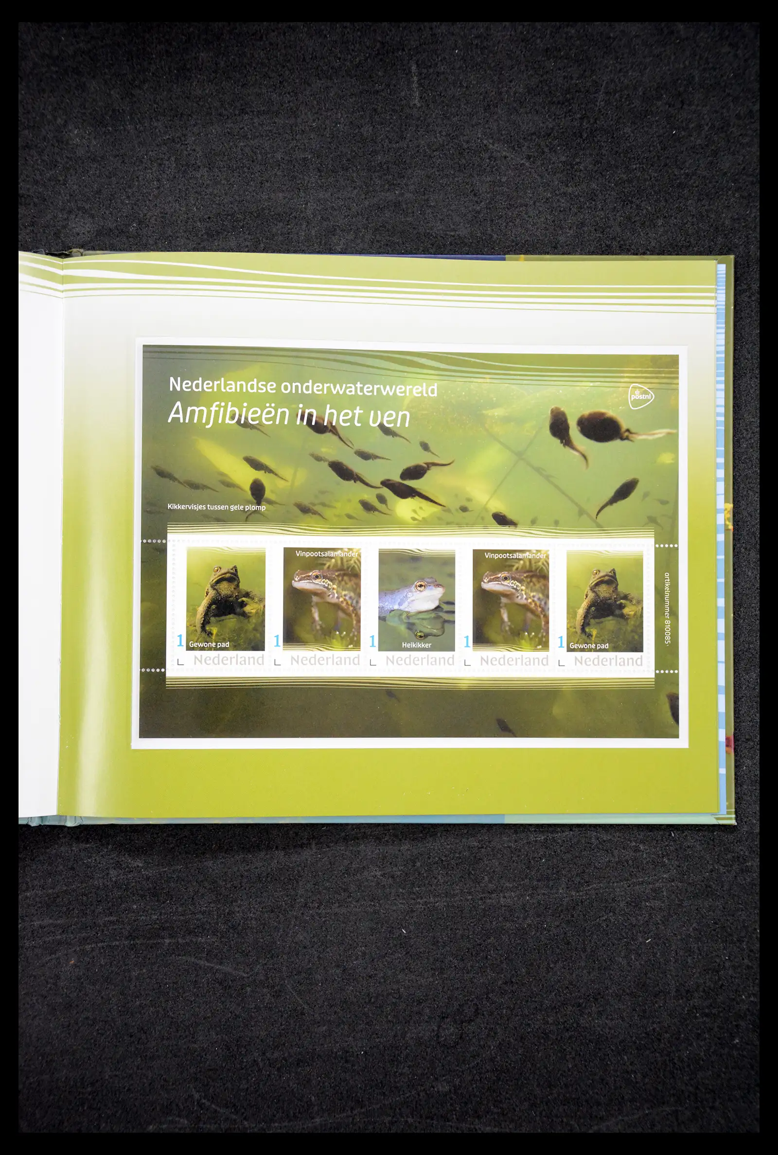 41521 0041 - Postzegelverzameling 41521 Nederland persoonlijke zegels t/m 2025!!