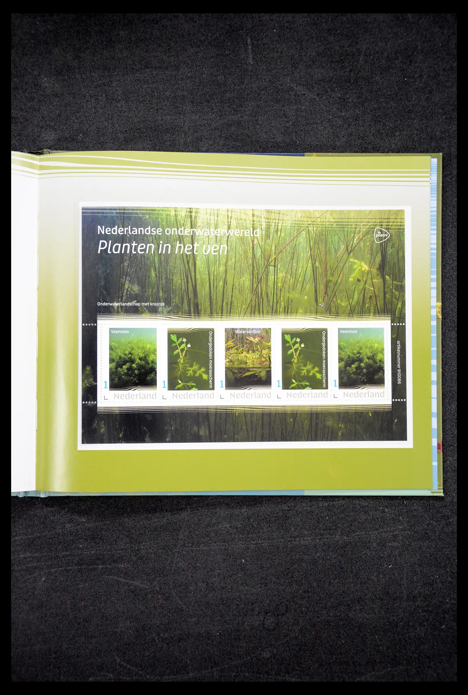 41521 0042 - Postzegelverzameling 41521 Nederland persoonlijke zegels t/m 2025!!