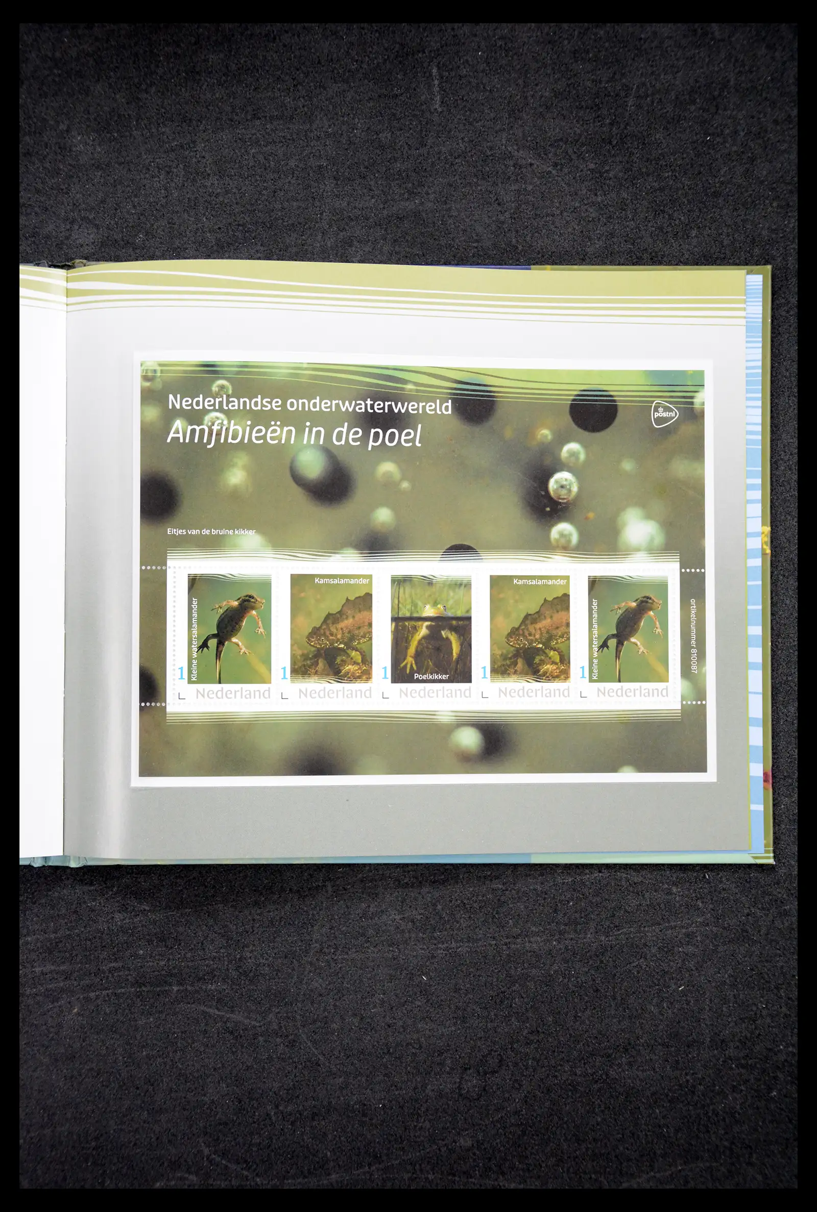 41521 0043 - Postzegelverzameling 41521 Nederland persoonlijke zegels t/m 2025!!