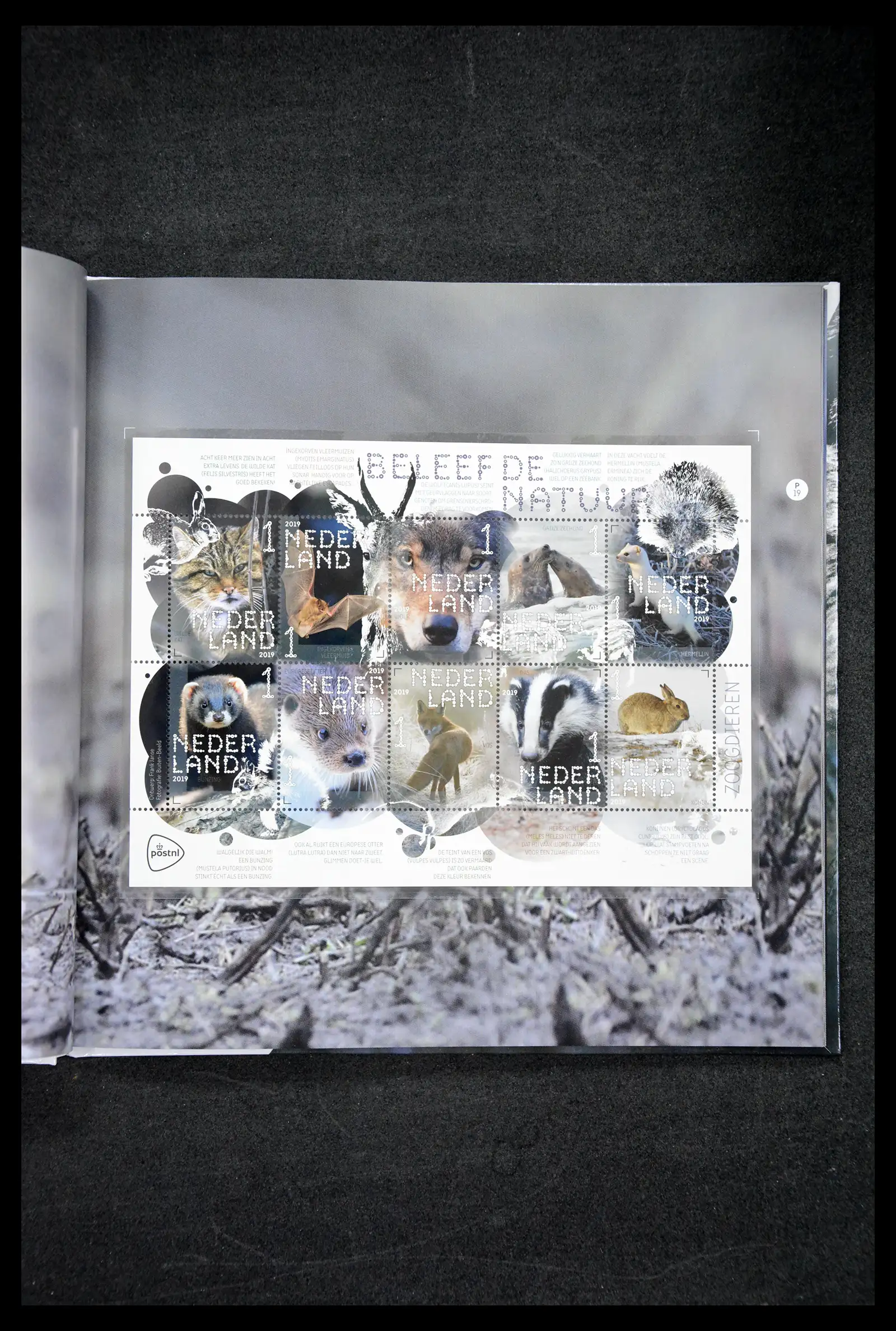 41521 0053 - Postzegelverzameling 41521 Nederland persoonlijke zegels t/m 2025!!