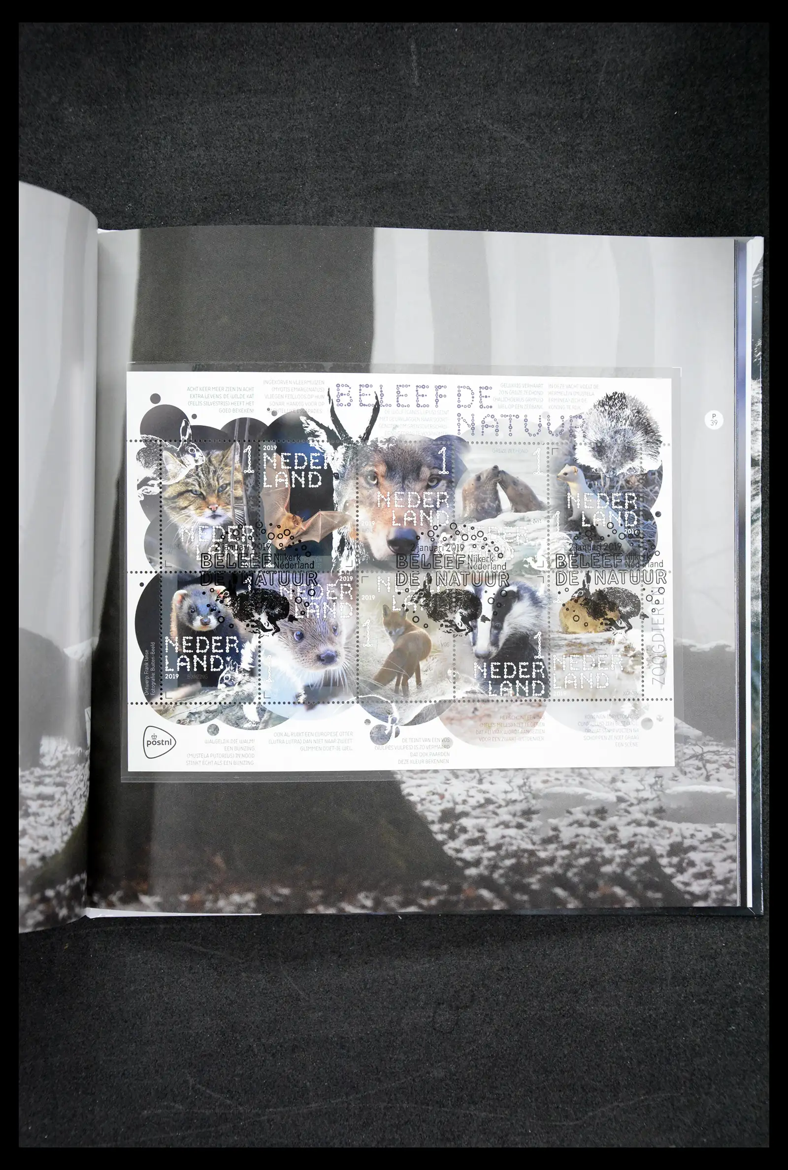 41521 0054 - Postzegelverzameling 41521 Nederland persoonlijke zegels t/m 2025!!