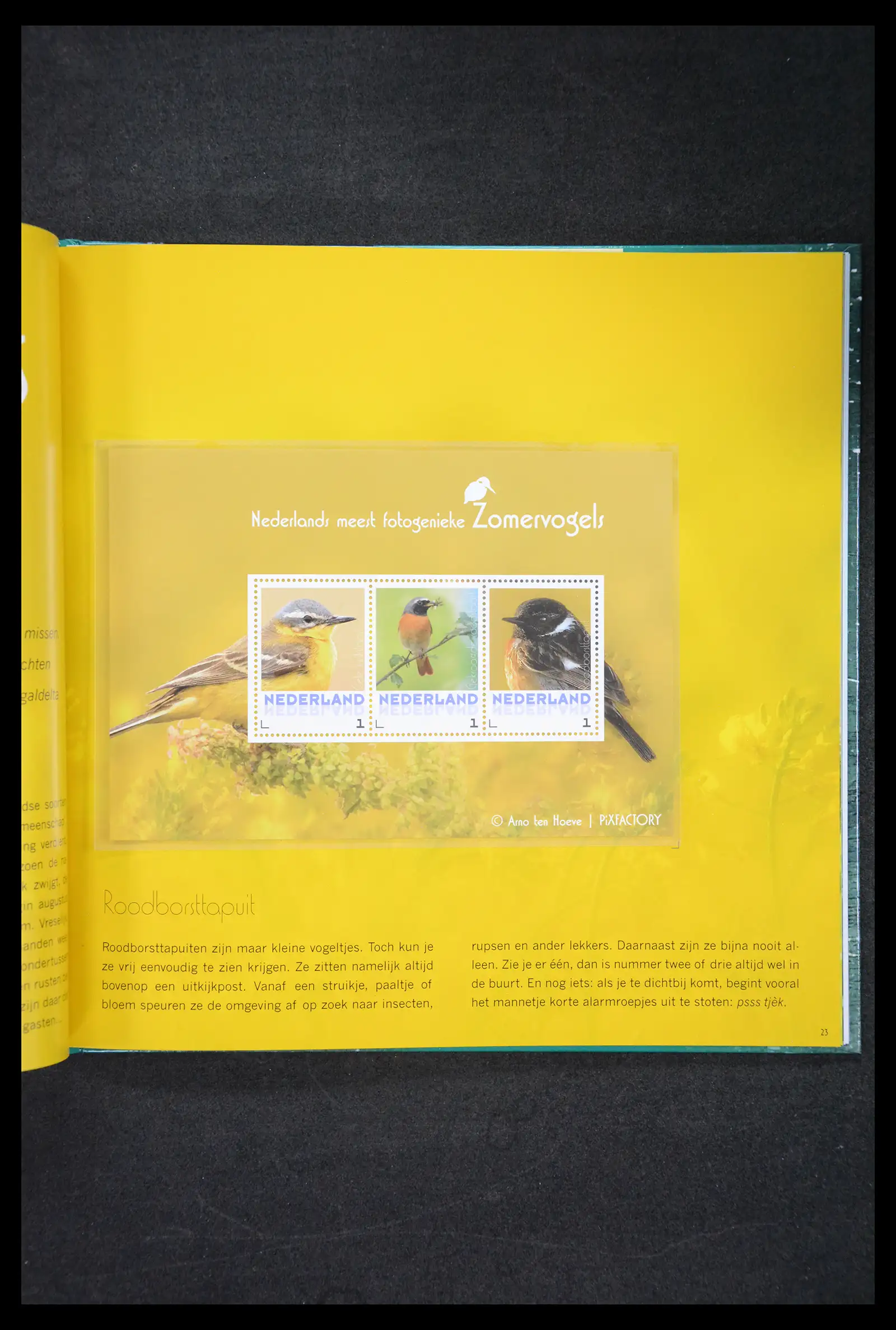 41521 0065 - Postzegelverzameling 41521 Nederland persoonlijke zegels t/m 2025!!