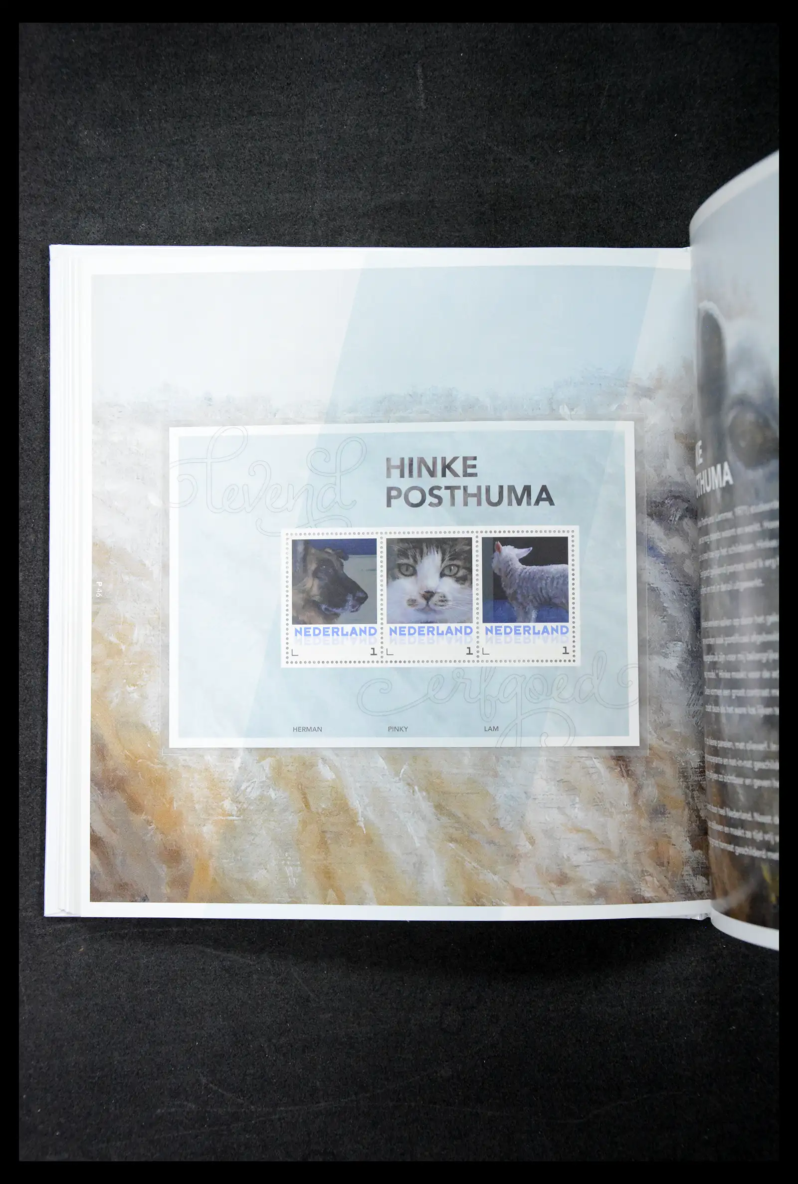 41521 0075 - Postzegelverzameling 41521 Nederland persoonlijke zegels t/m 2025!!