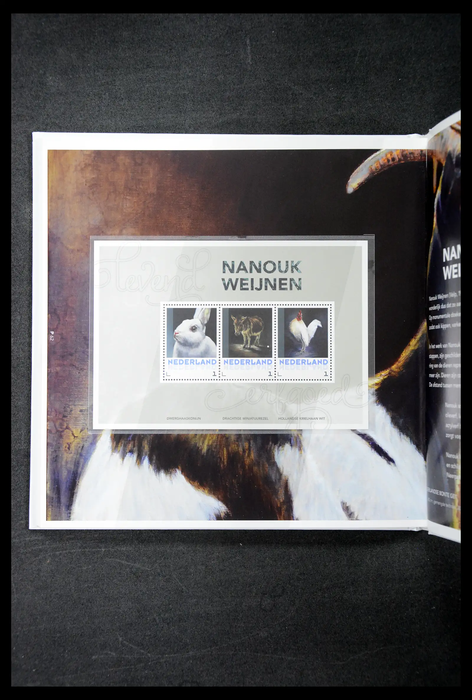 41521 0076 - Postzegelverzameling 41521 Nederland persoonlijke zegels t/m 2025!!