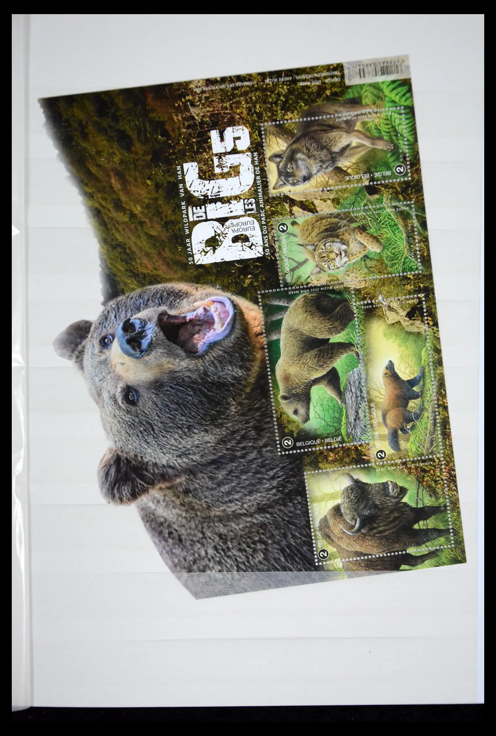 41522 0024 - Postzegelverzameling 41522 België nieuwtjes 2019-2021!!