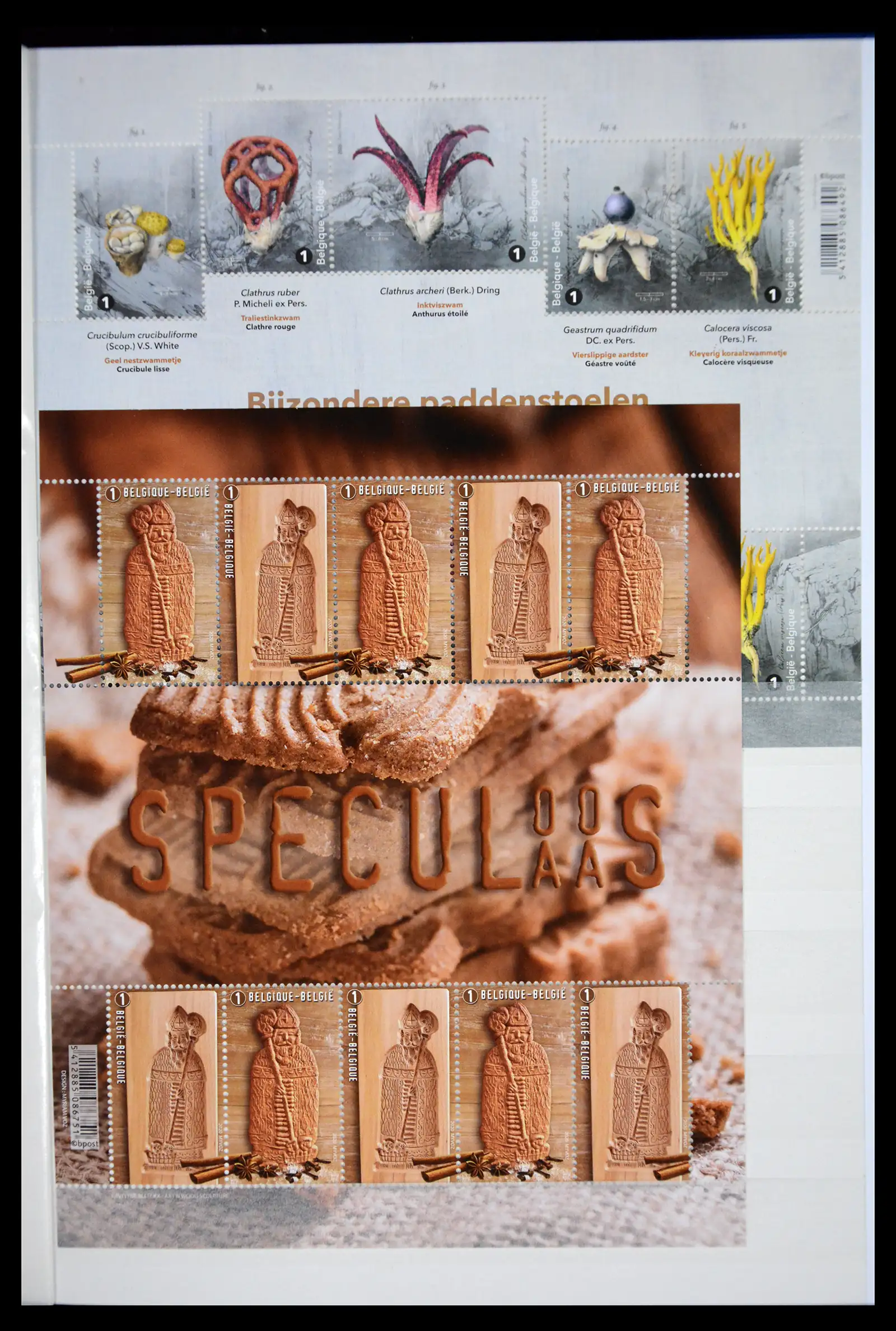 41522 0028 - Postzegelverzameling 41522 België nieuwtjes 2019-2021!!