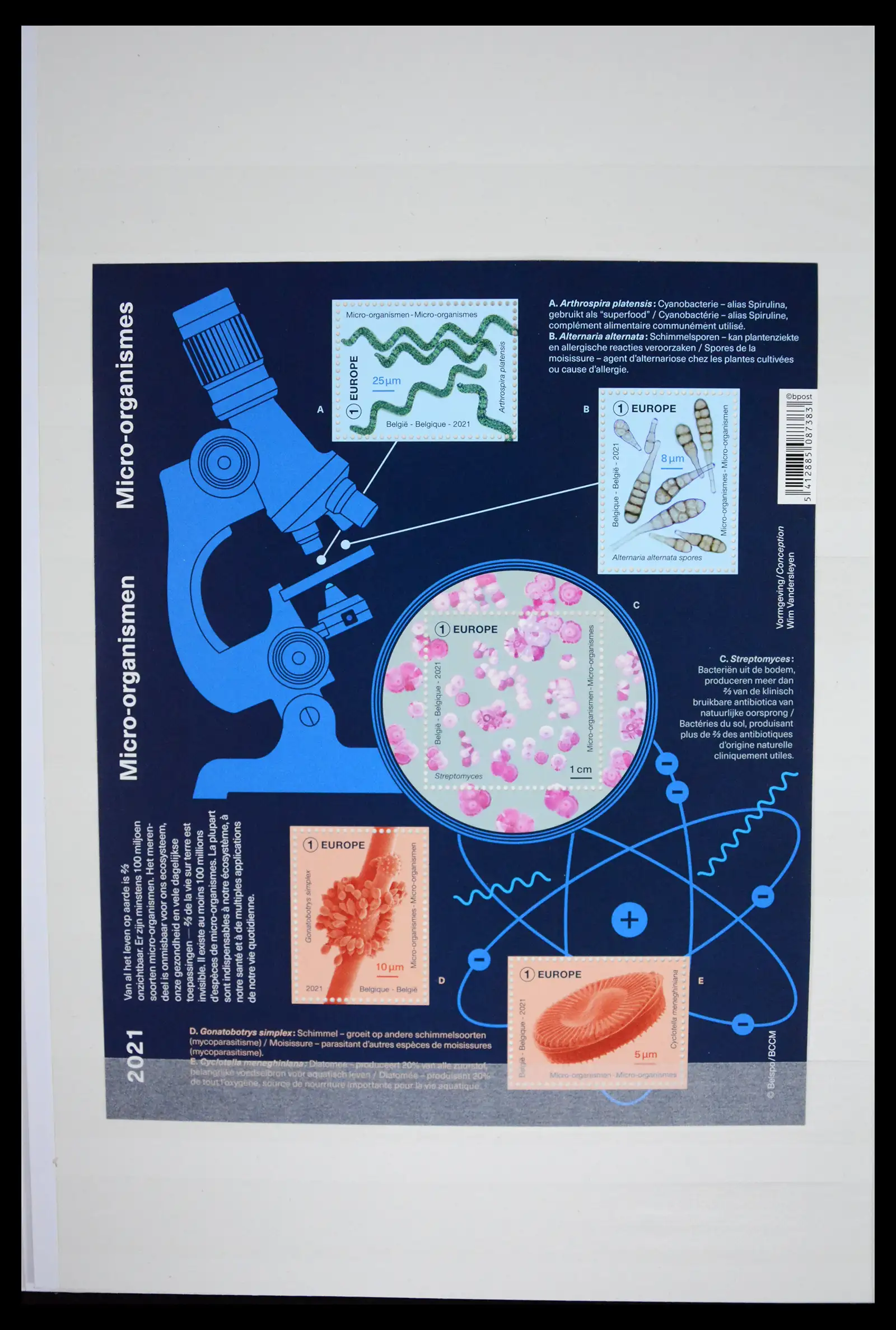 41522 0031 - Postzegelverzameling 41522 België nieuwtjes 2019-2021!!