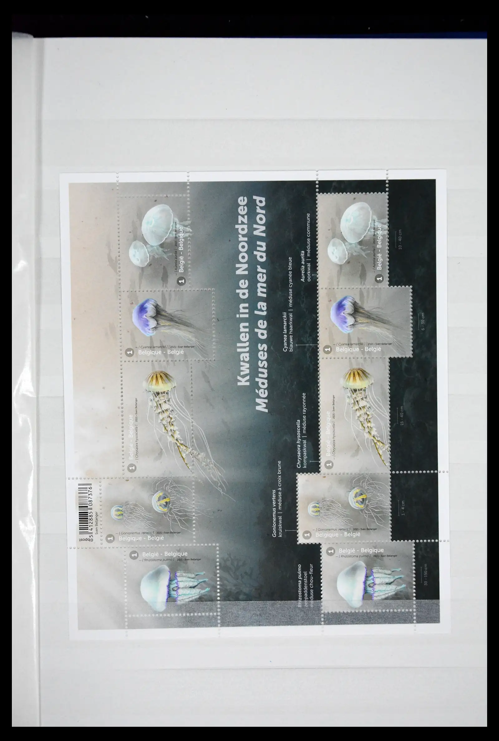 41522 0032 - Postzegelverzameling 41522 België nieuwtjes 2019-2021!!