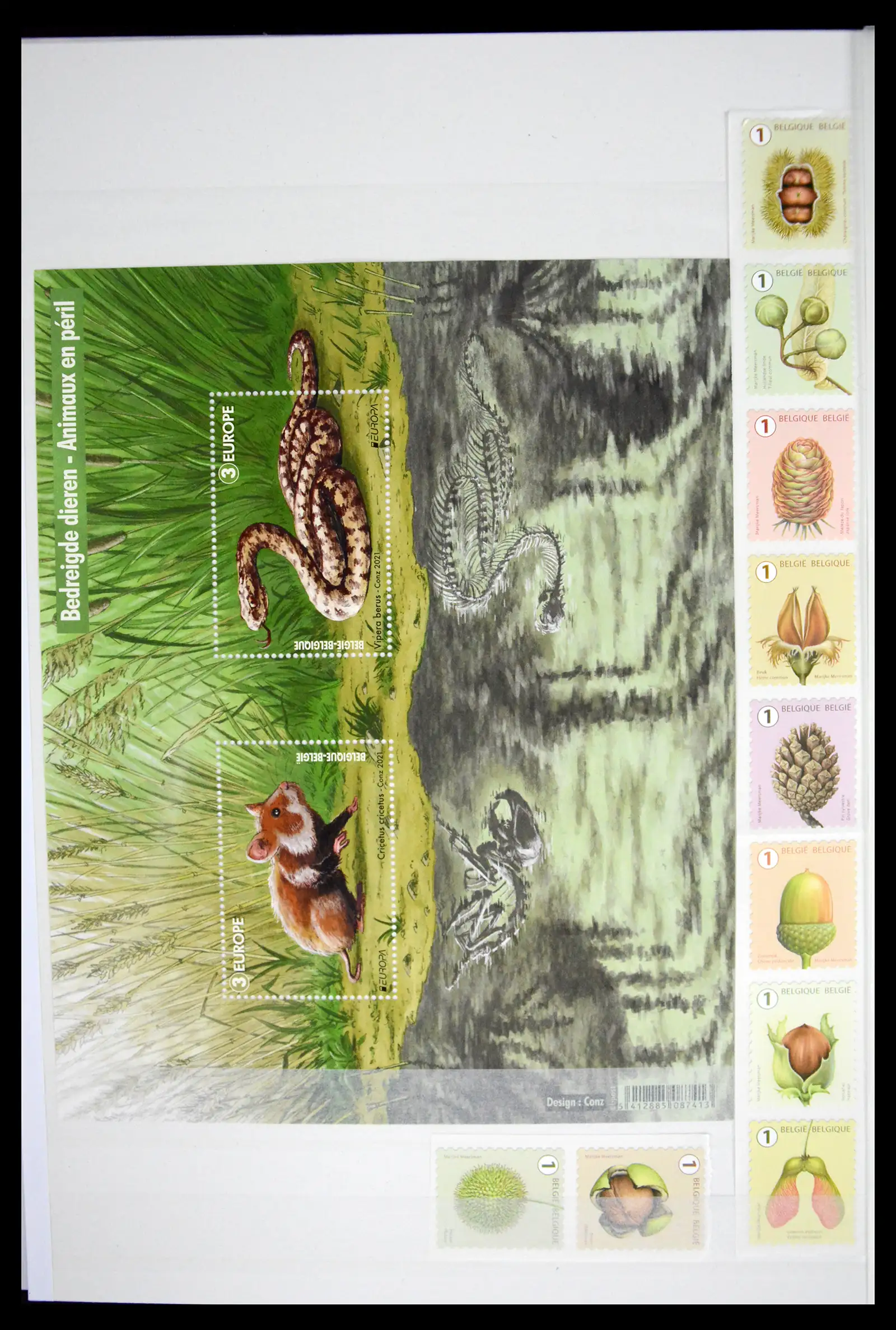 41522 0033 - Postzegelverzameling 41522 België nieuwtjes 2019-2021!!