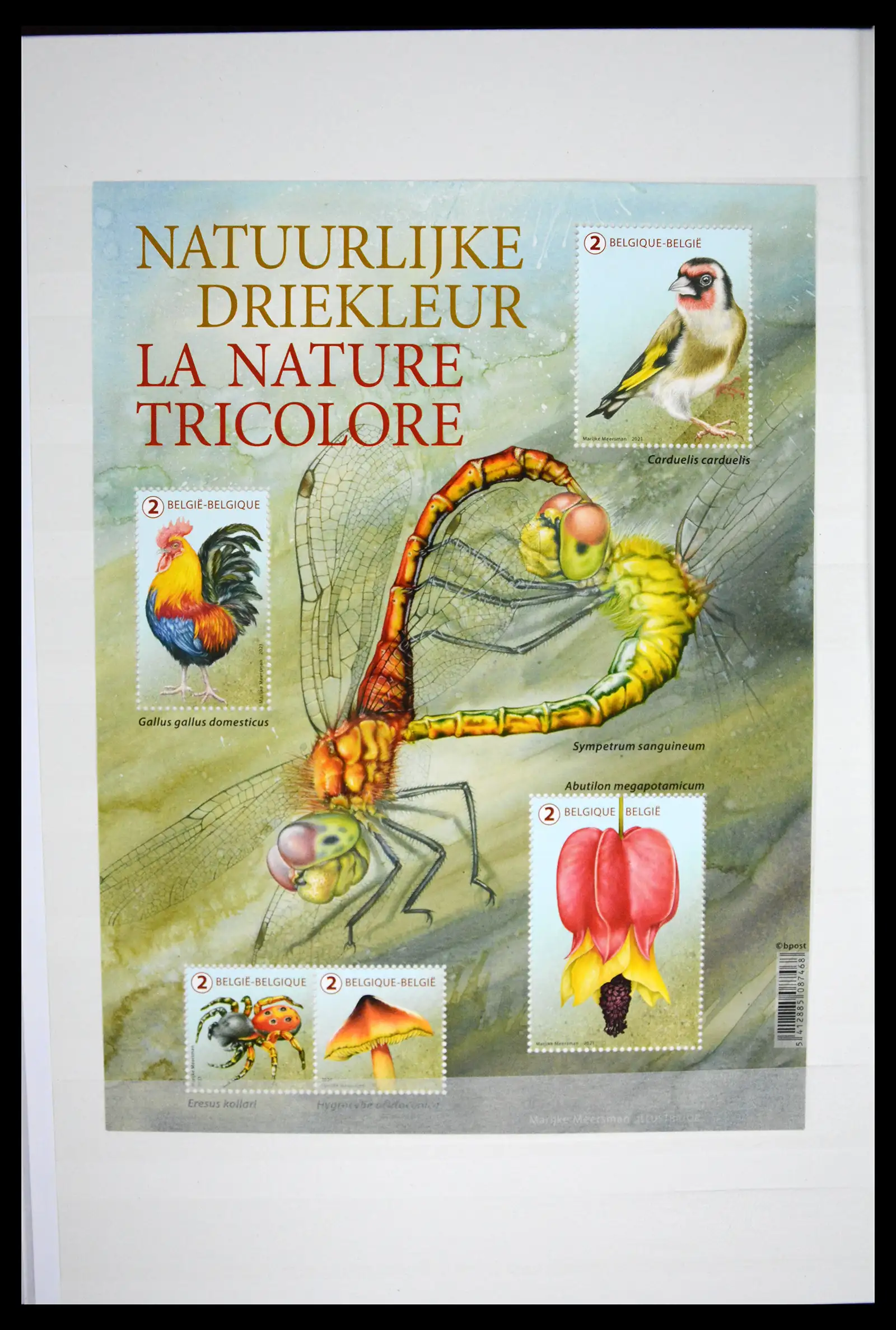 41522 0035 - Postzegelverzameling 41522 België nieuwtjes 2019-2021!!