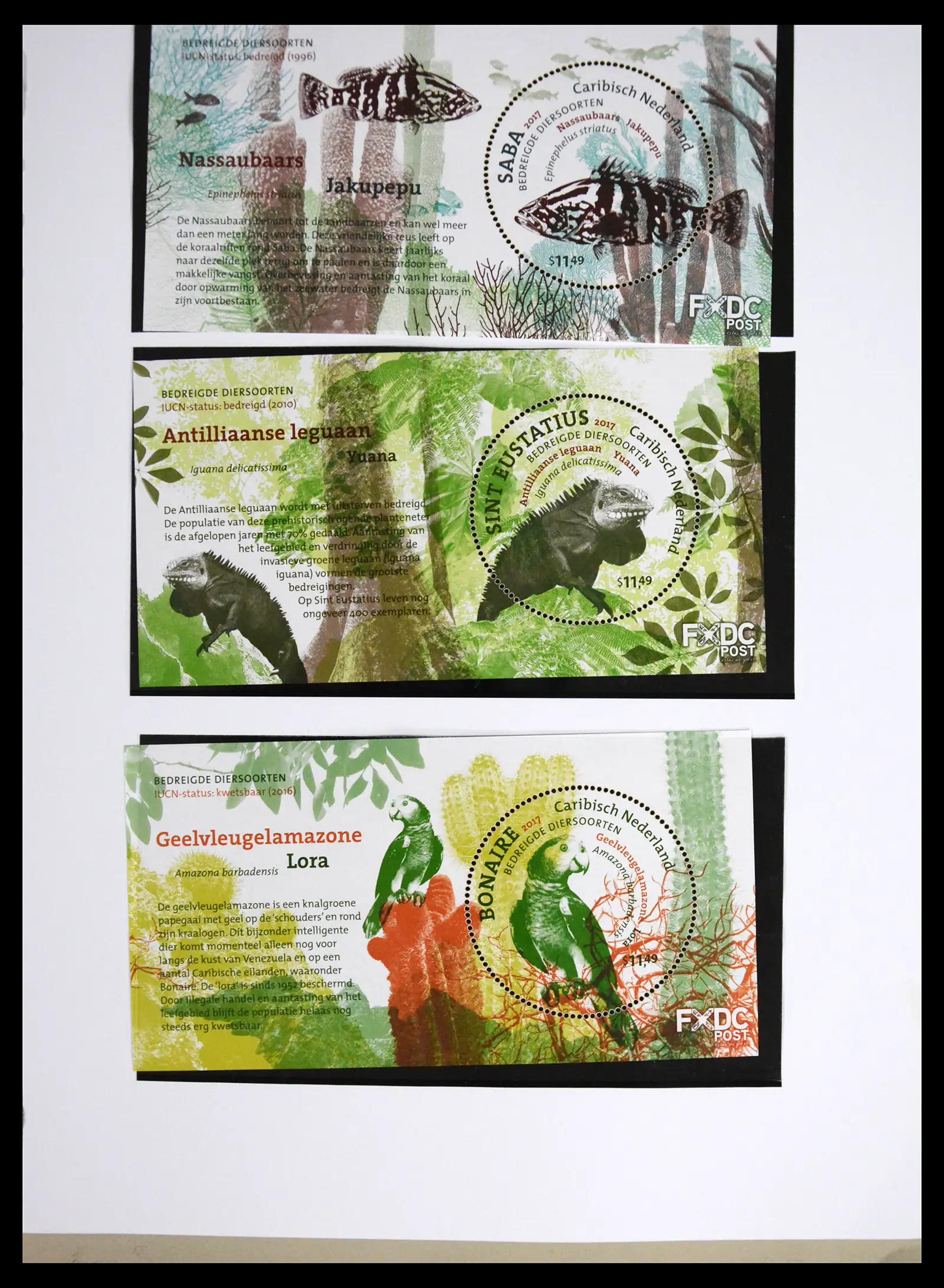 41557 0033 - Postzegelverzameling 41557 Overzee 2010-2019.