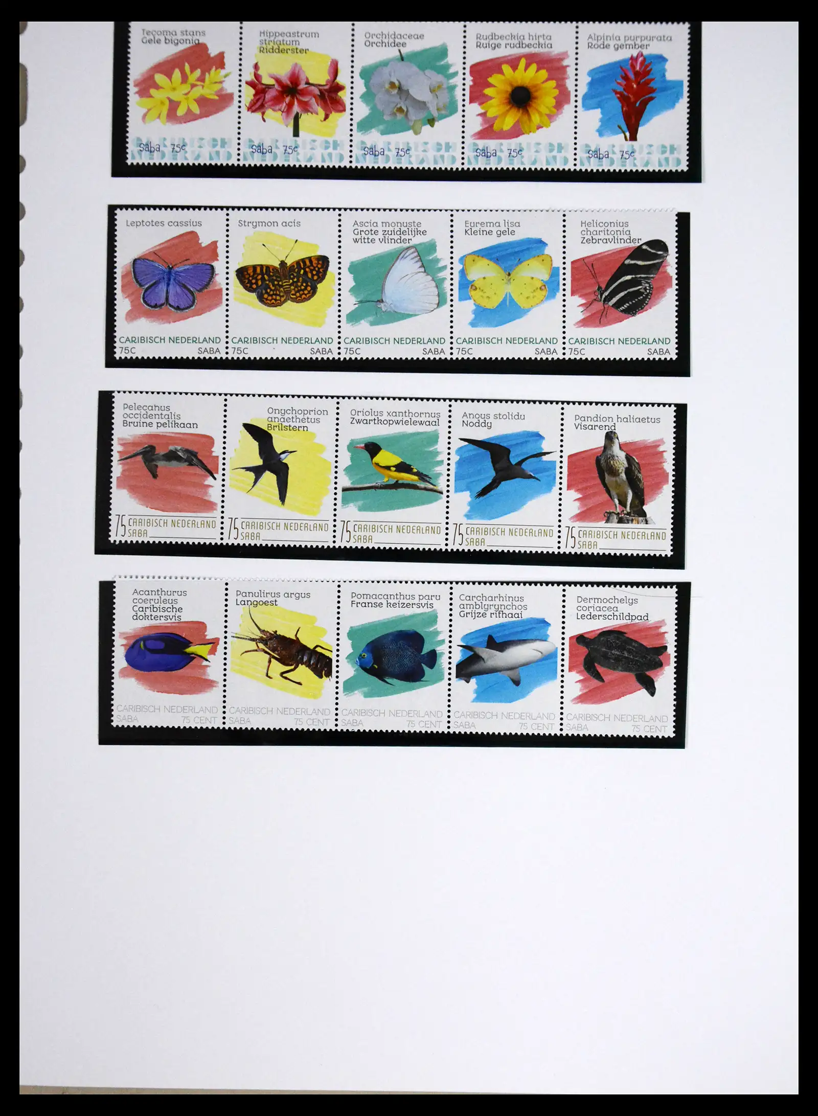 41557 0037 - Postzegelverzameling 41557 Overzee 2010-2019.