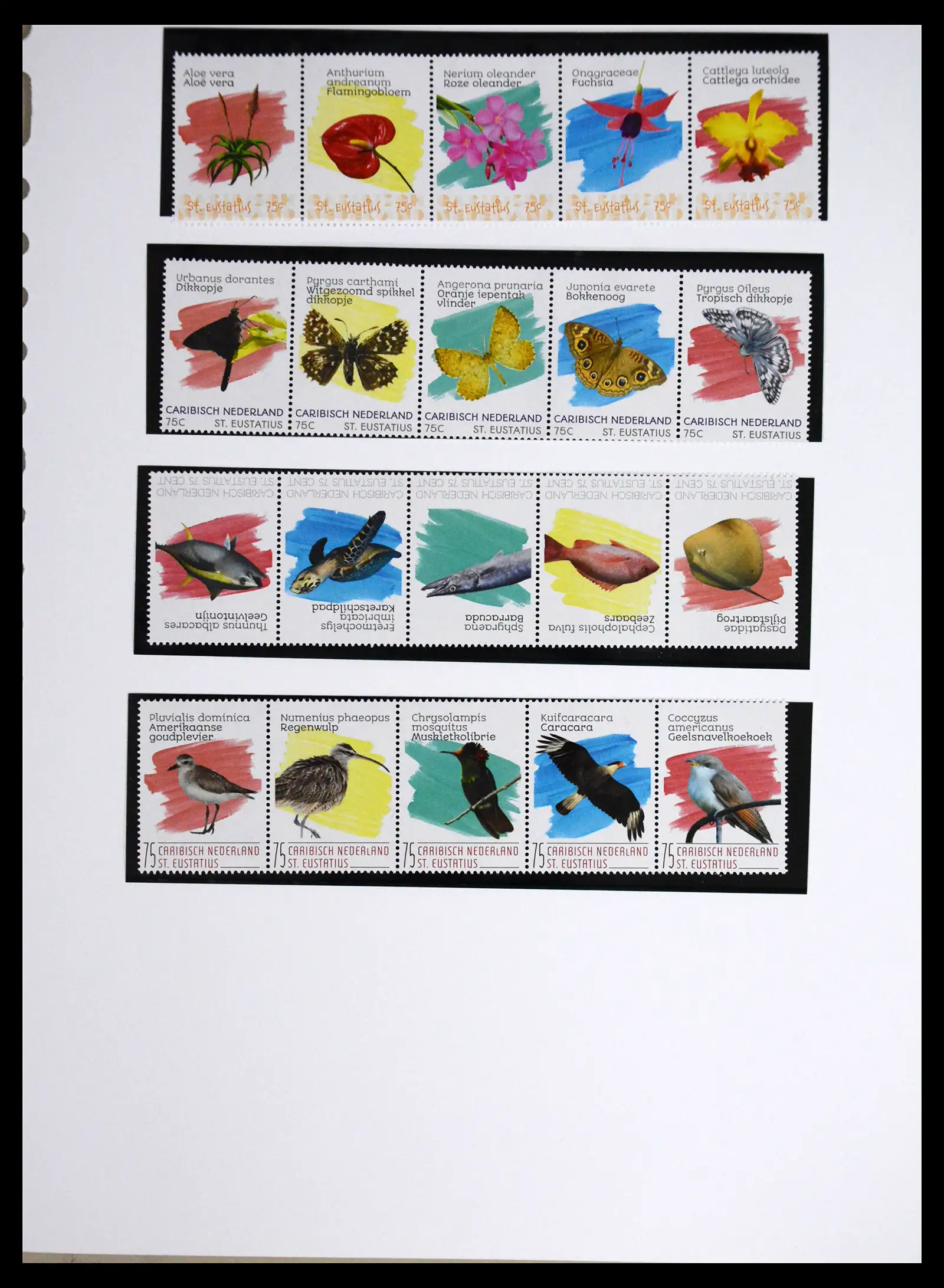 41557 0038 - Postzegelverzameling 41557 Overzee 2010-2019.