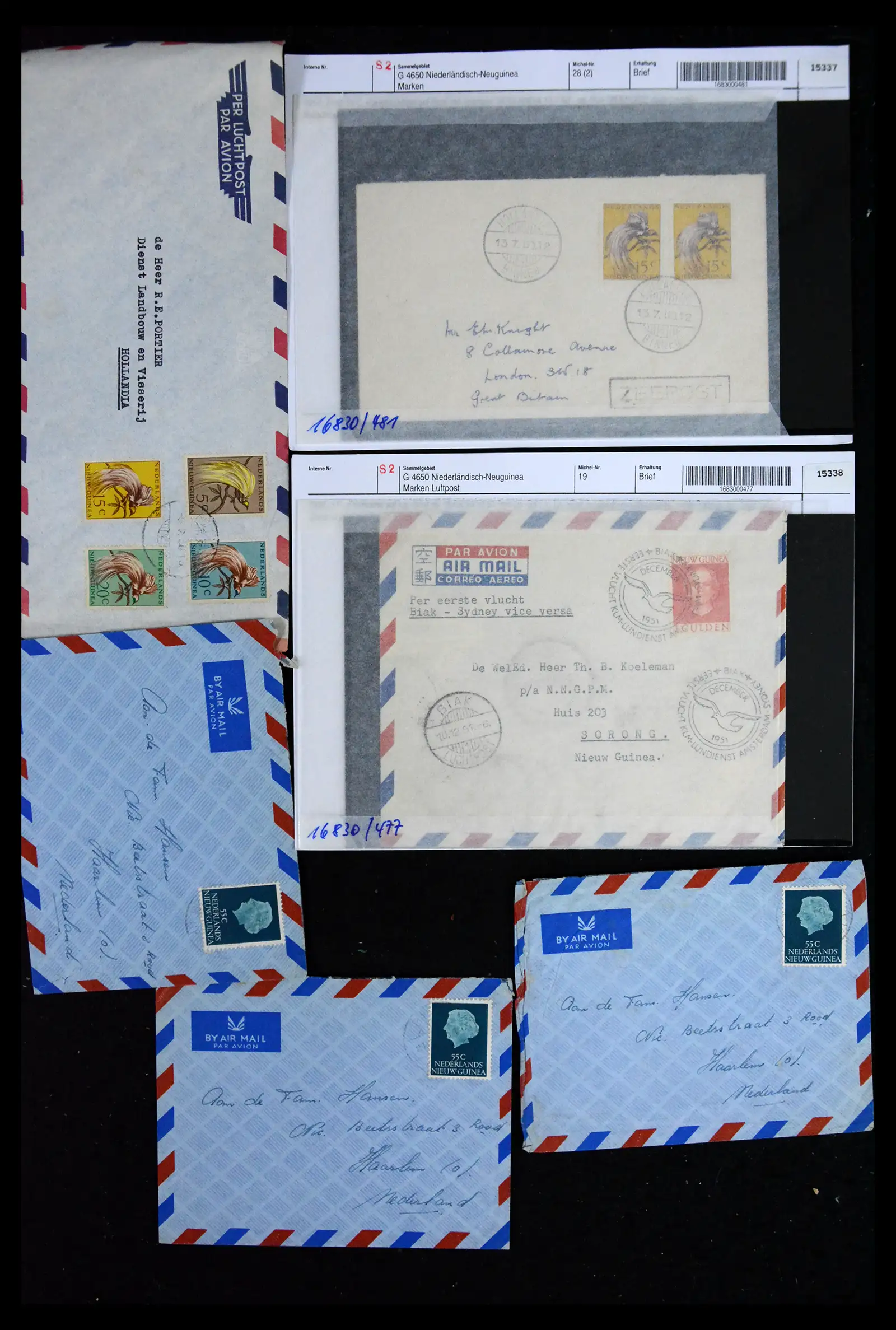 41576 0006 - Postzegelverzameling 41576 Nederlands Nieuw Guinea 1945-1968.