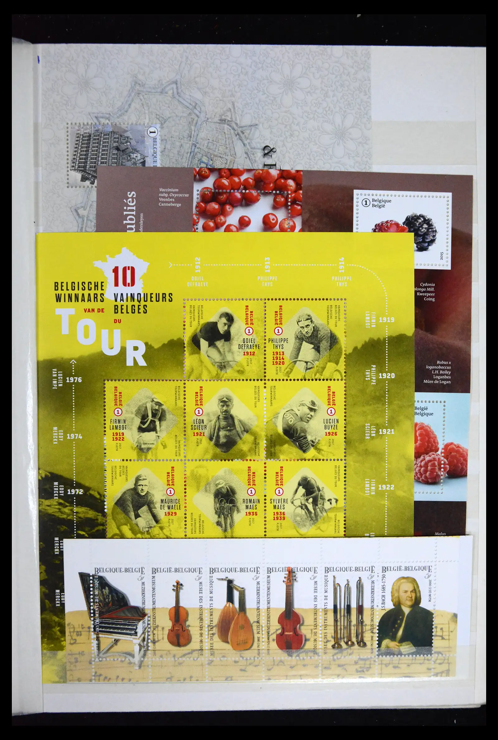 41612 0013 - Stamp collection 41612 Belgium sheetlets/booklet collection 2010-2024!!