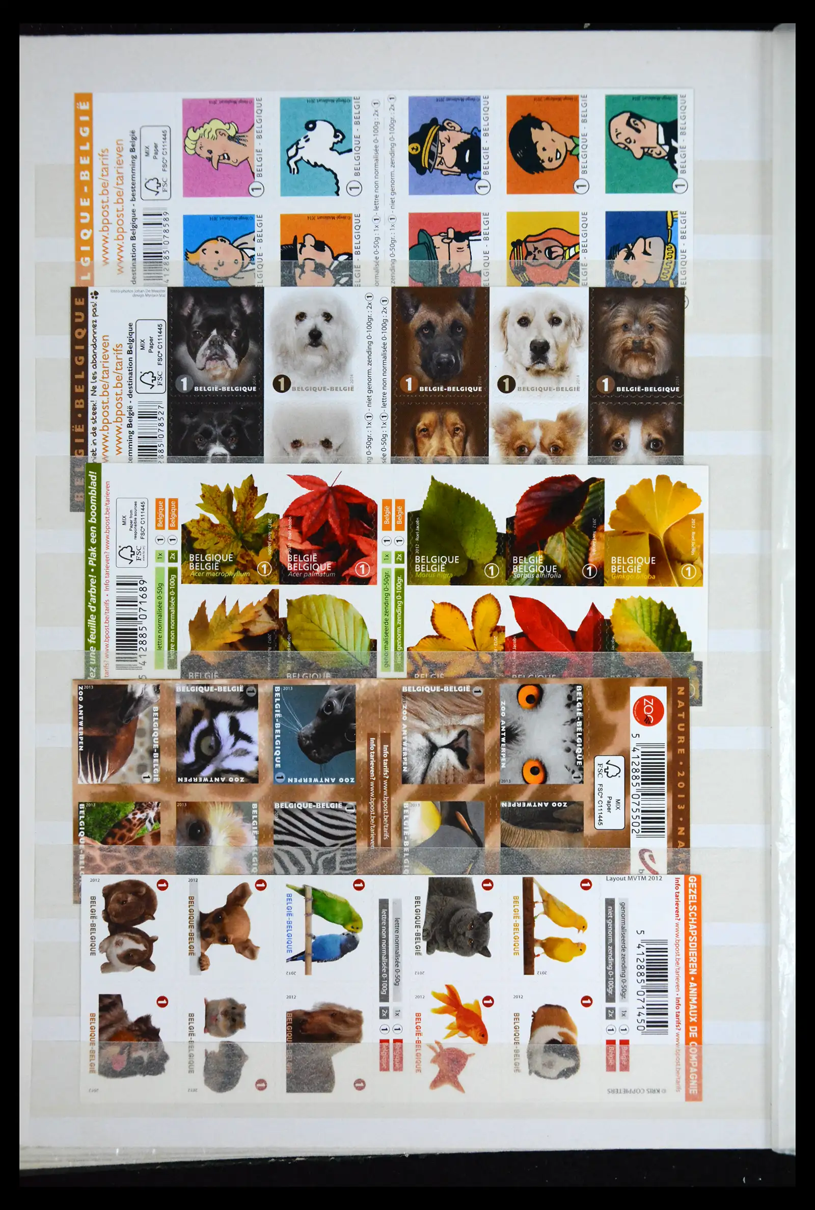 41612 0022 - Stamp collection 41612 Belgium sheetlets/booklet collection 2010-2024!!
