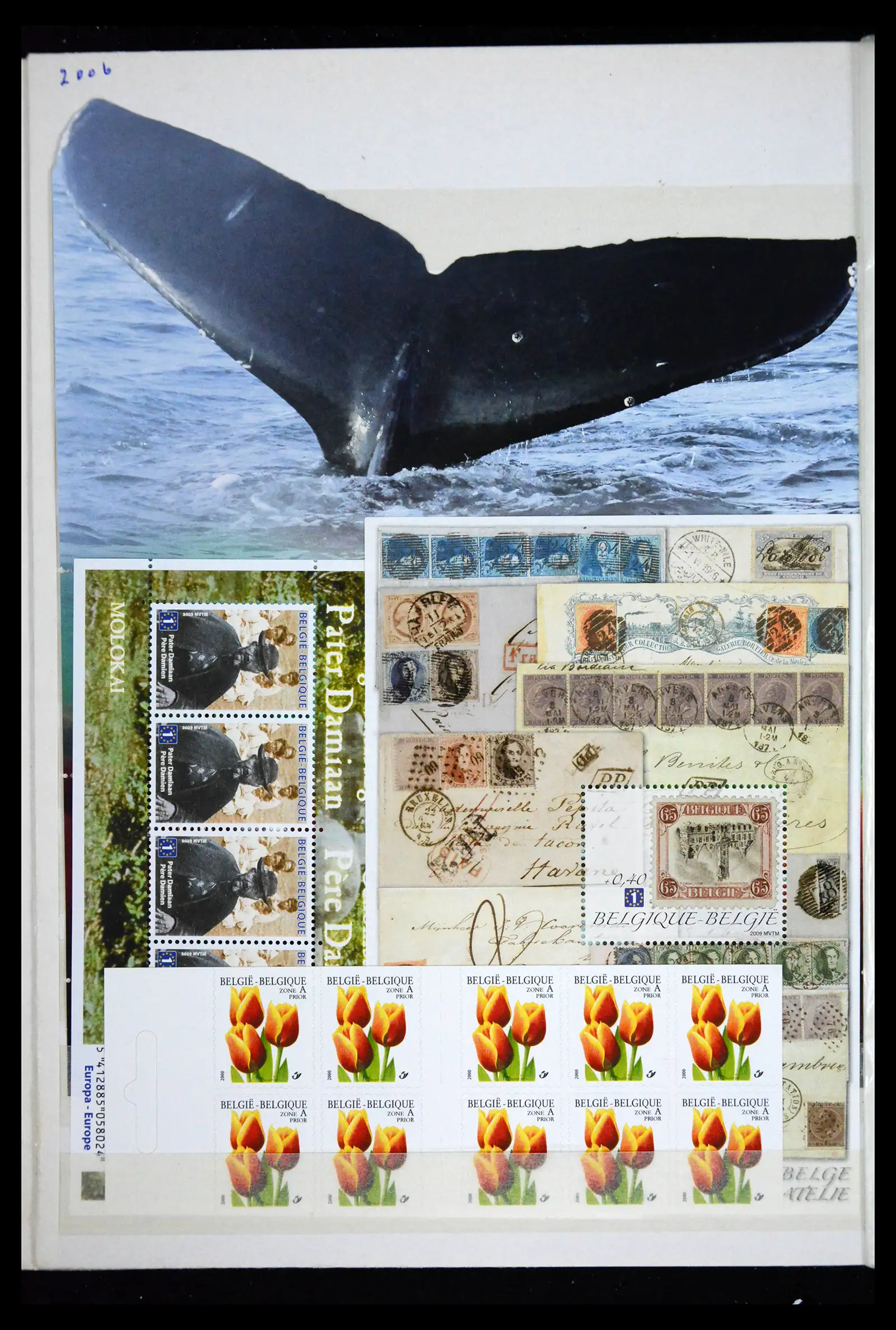 41612 0038 - Stamp collection 41612 Belgium sheetlets/booklet collection 2010-2024!!