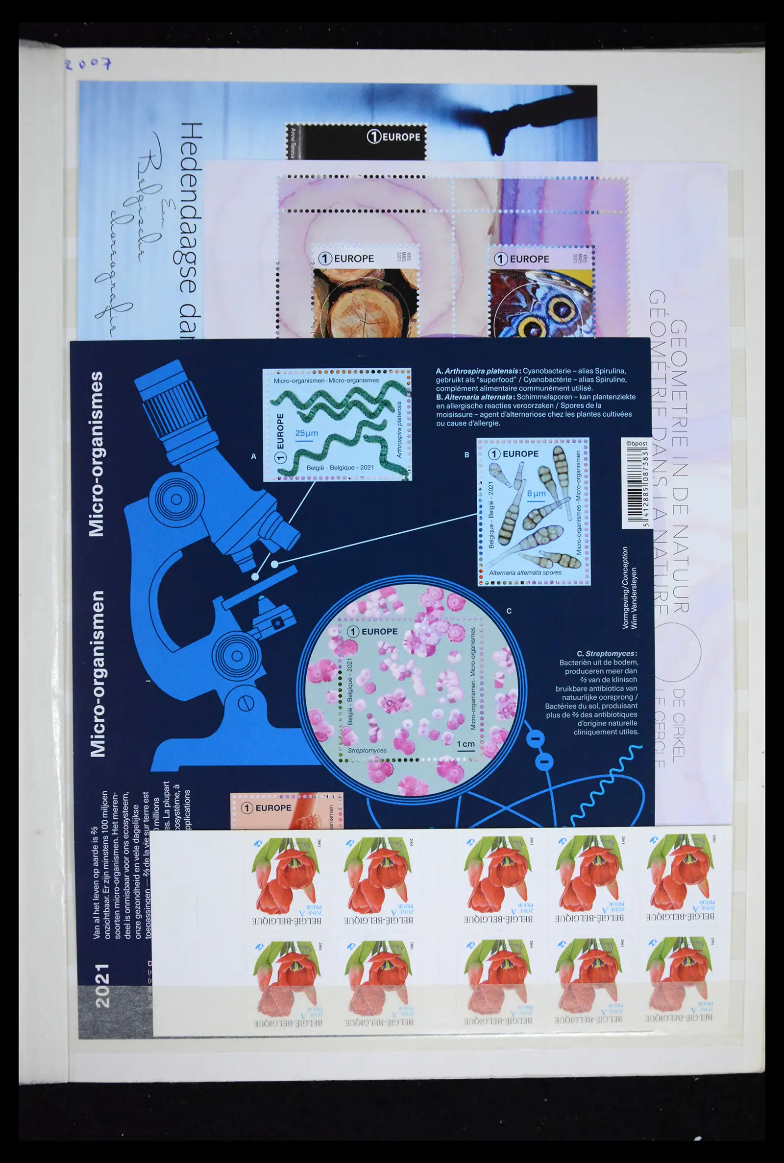 41612 0039 - Stamp collection 41612 Belgium sheetlets/booklet collection 2010-2024!!