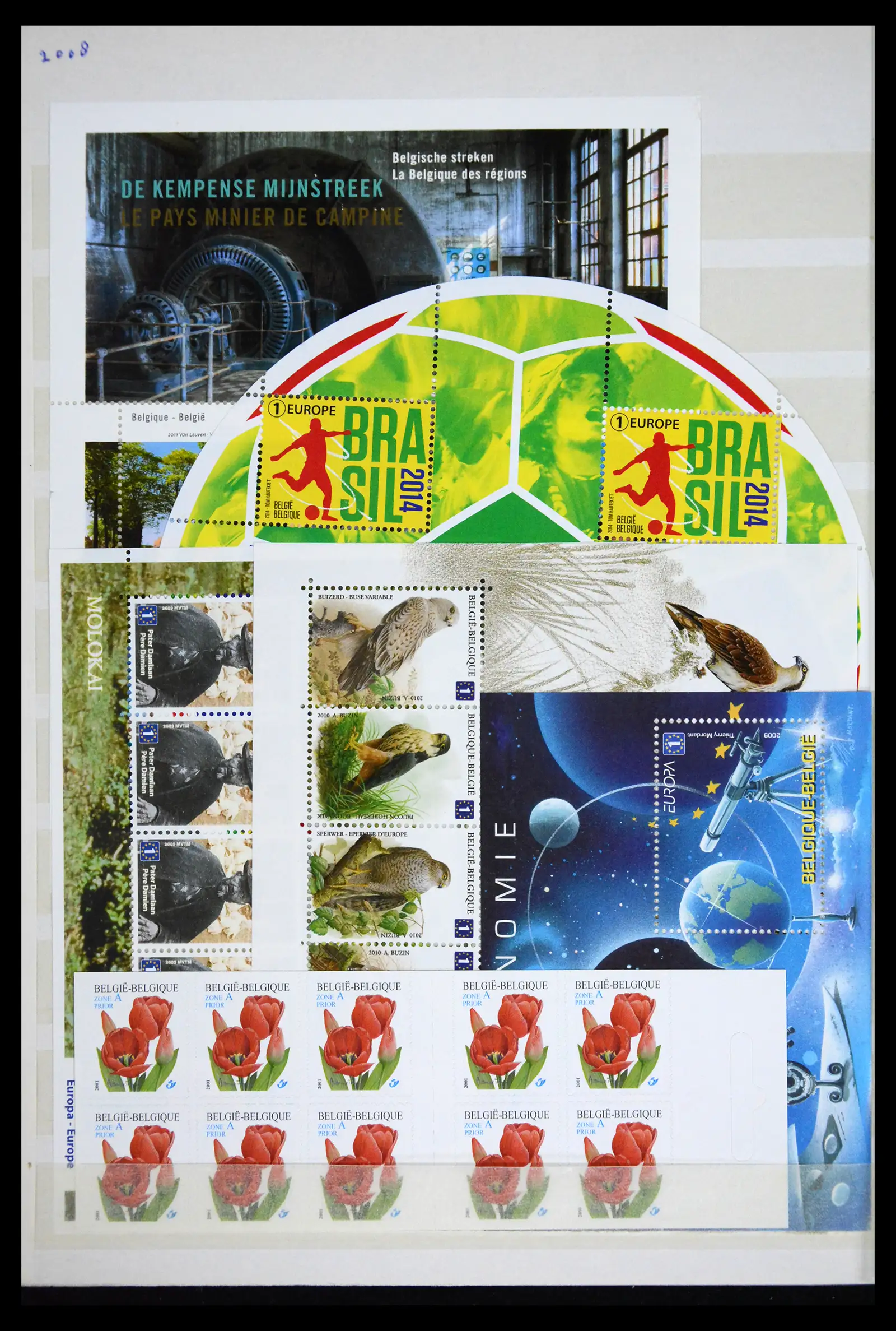 41612 0040 - Stamp collection 41612 Belgium sheetlets/booklet collection 2010-2024!!