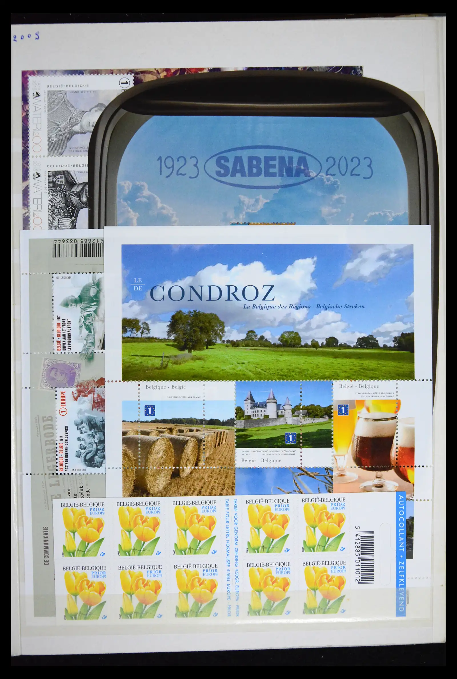 41612 0041 - Stamp collection 41612 Belgium sheetlets/booklet collection 2010-2024!!