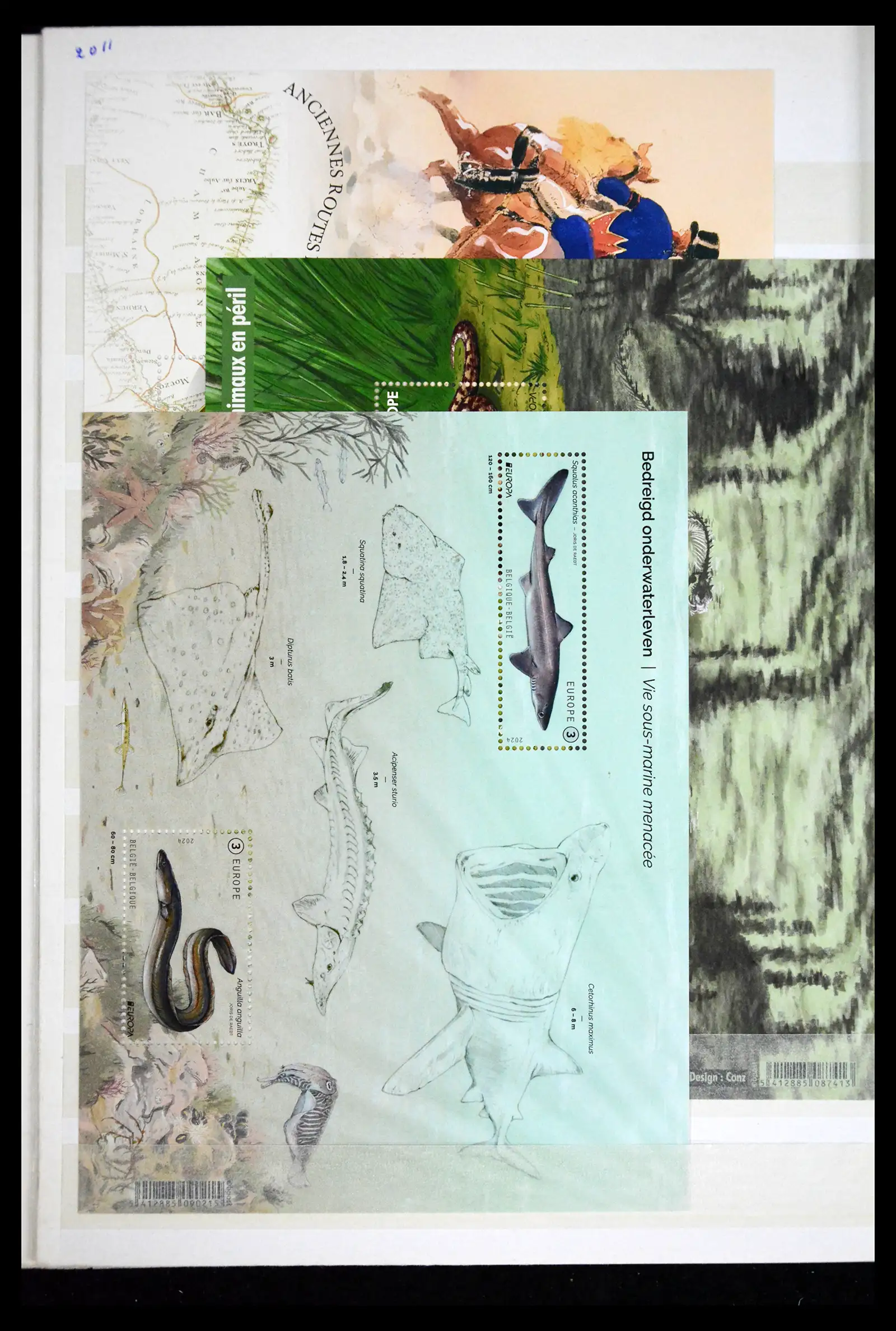 41612 0050 - Stamp collection 41612 Belgium sheetlets/booklet collection 2010-2024!!