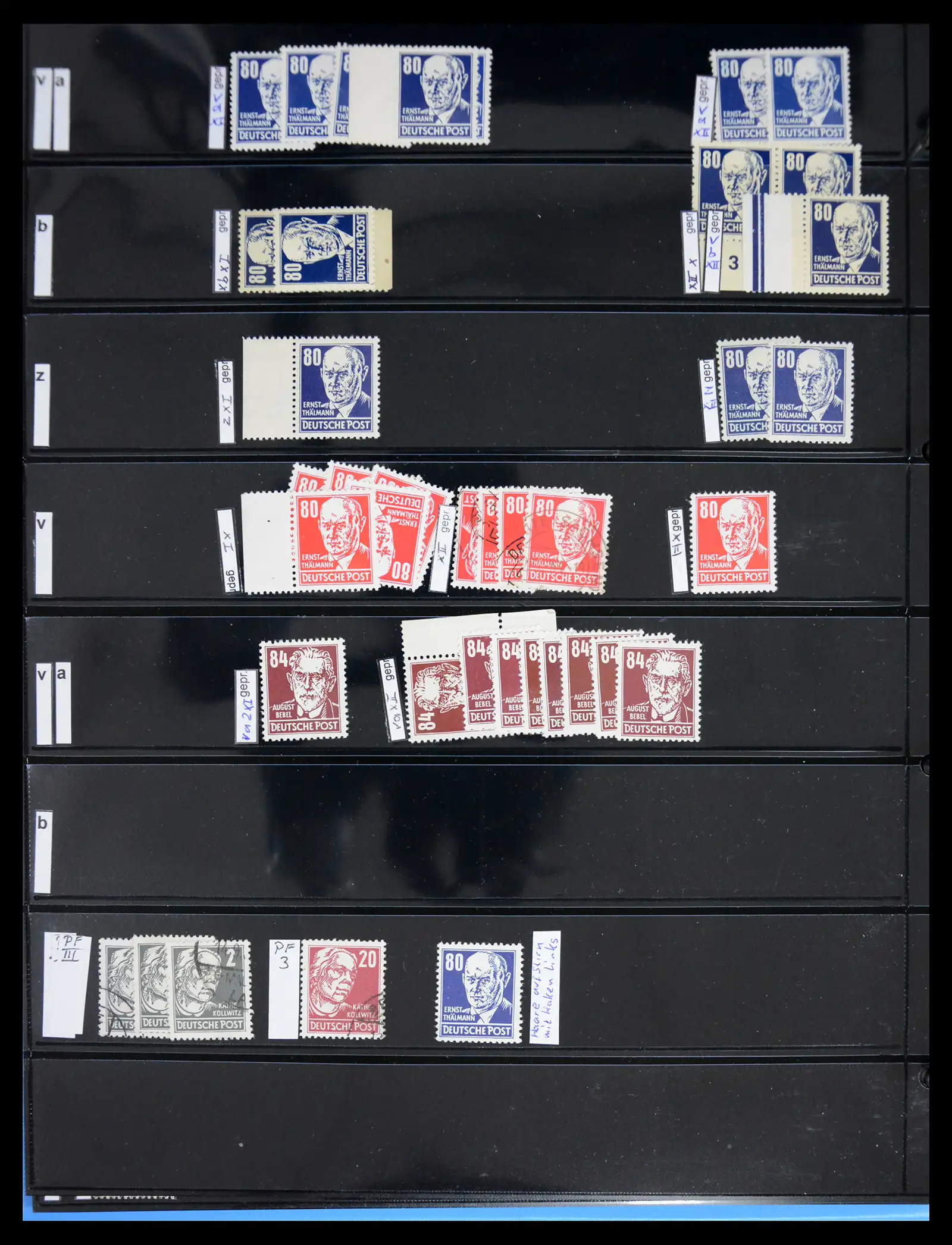 41631 0006 - Postzegelverzameling 41631 DDR gespecialiseerd 1948-1960.