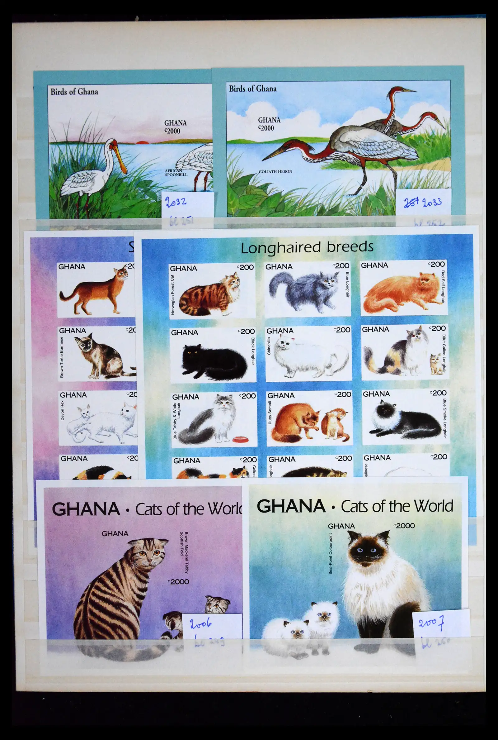 41691 0010 - Stamp collection 41691 Thematic animals imperforated 1950-2000.